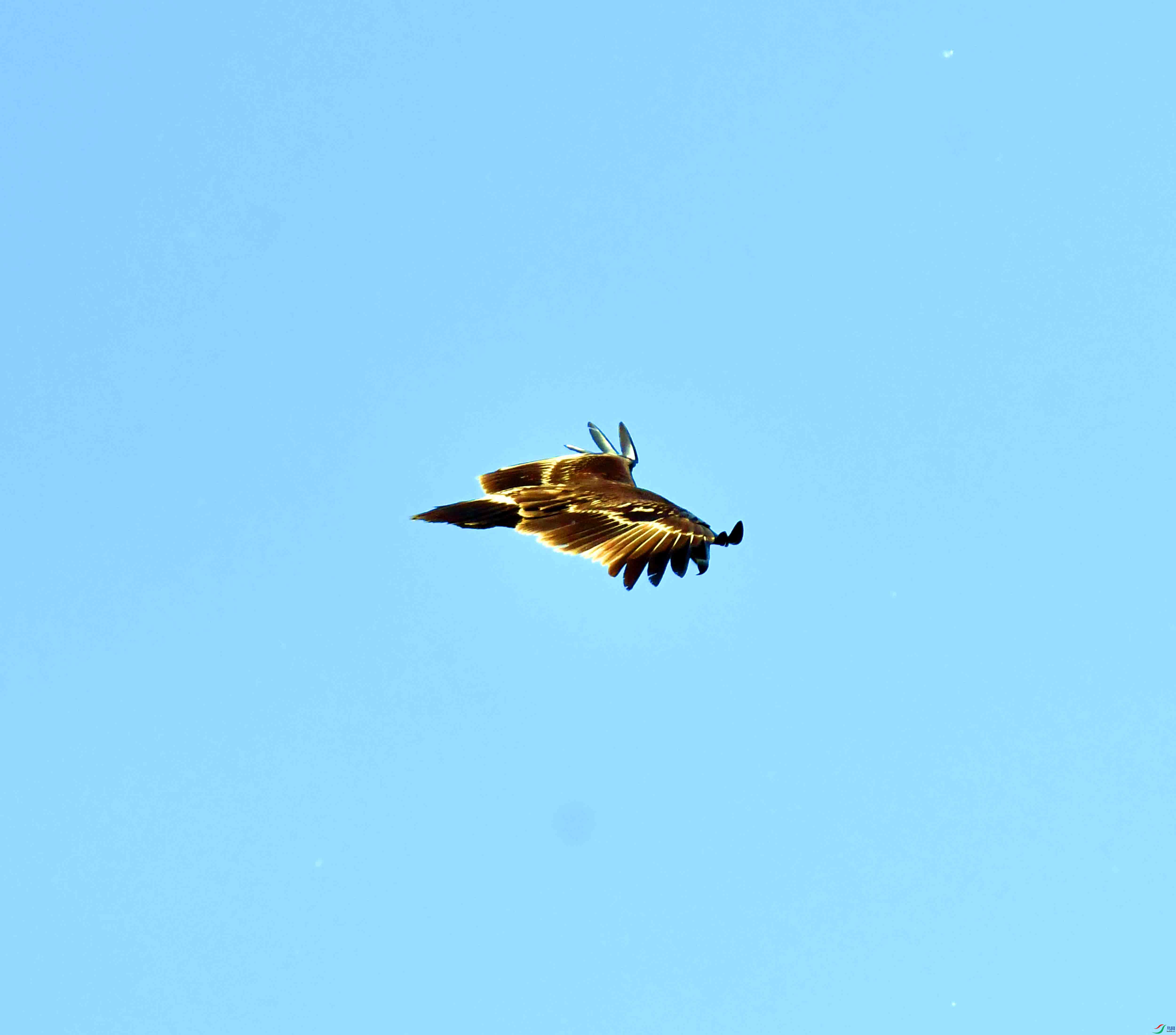 DSC_9361.JPG