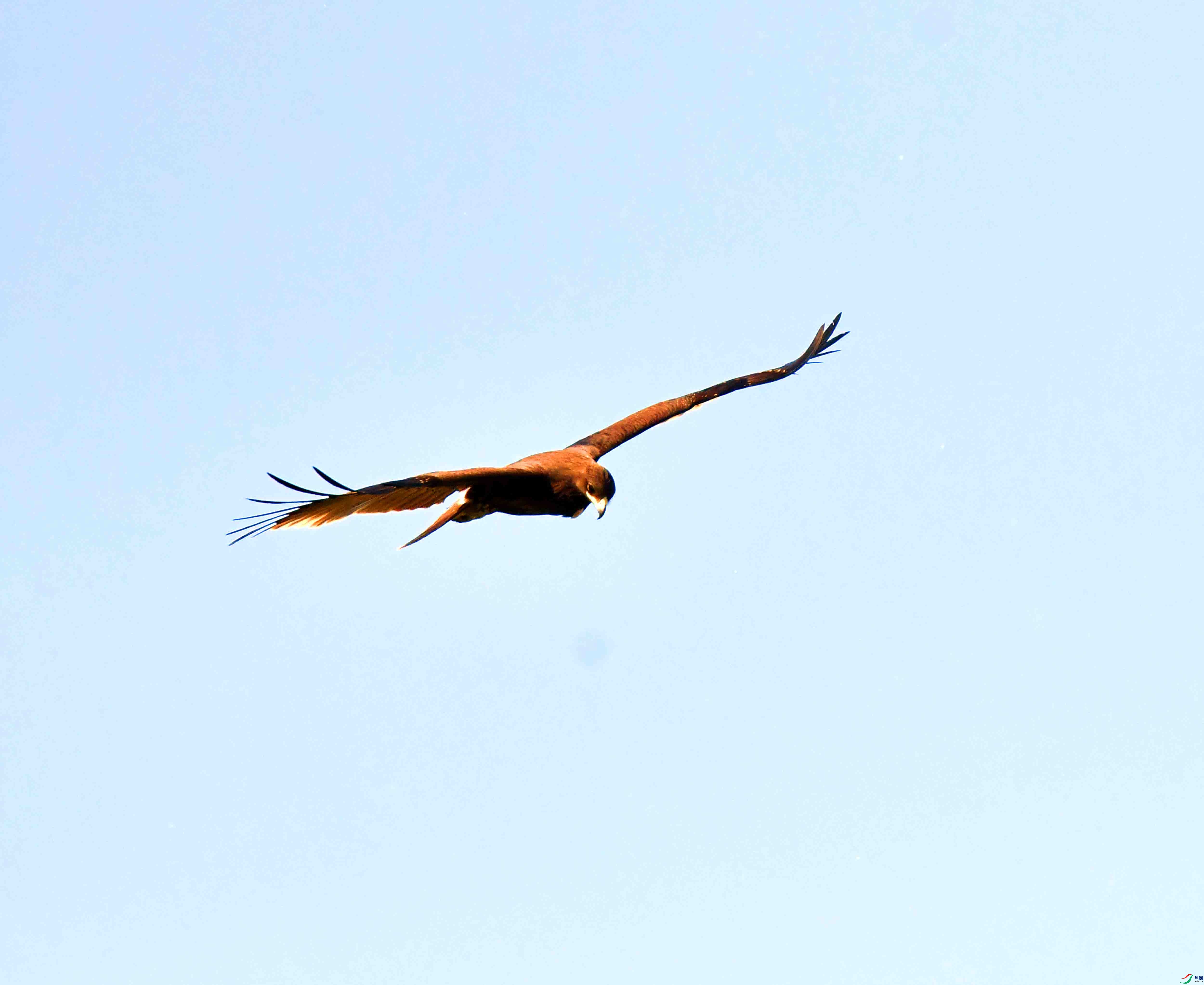 DSC_9364.JPG