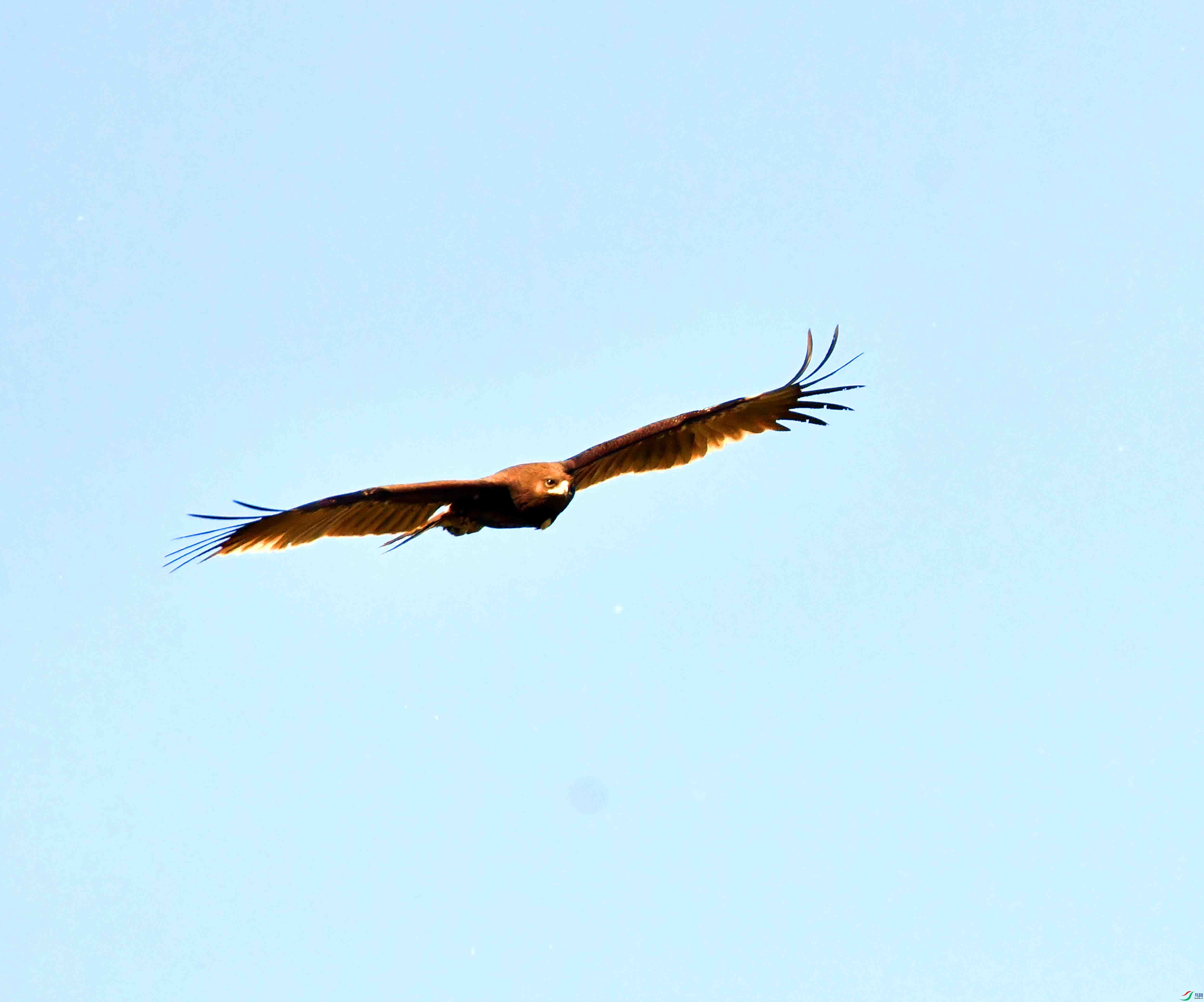 DSC_9366.JPG