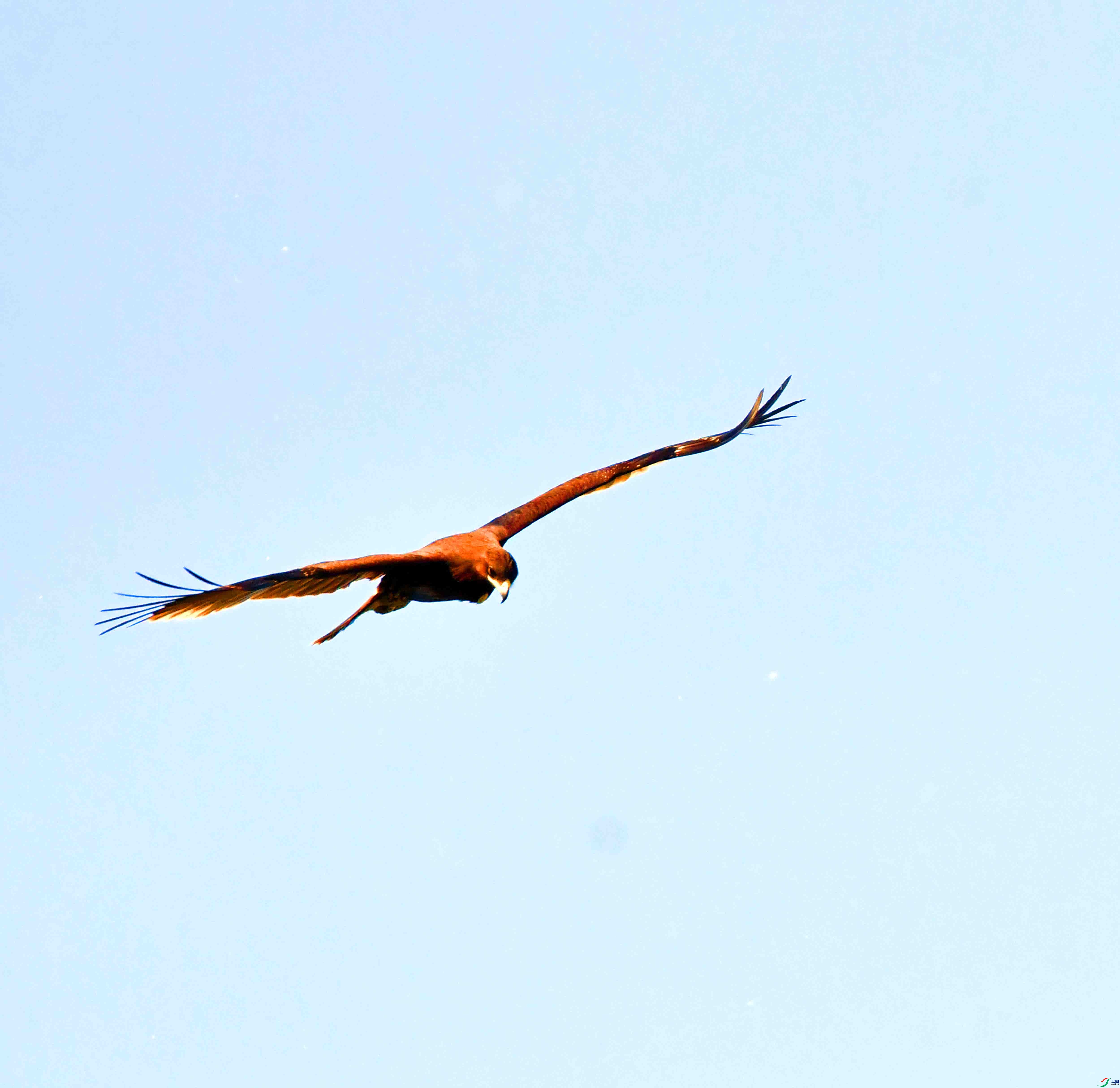 DSC_9365.JPG