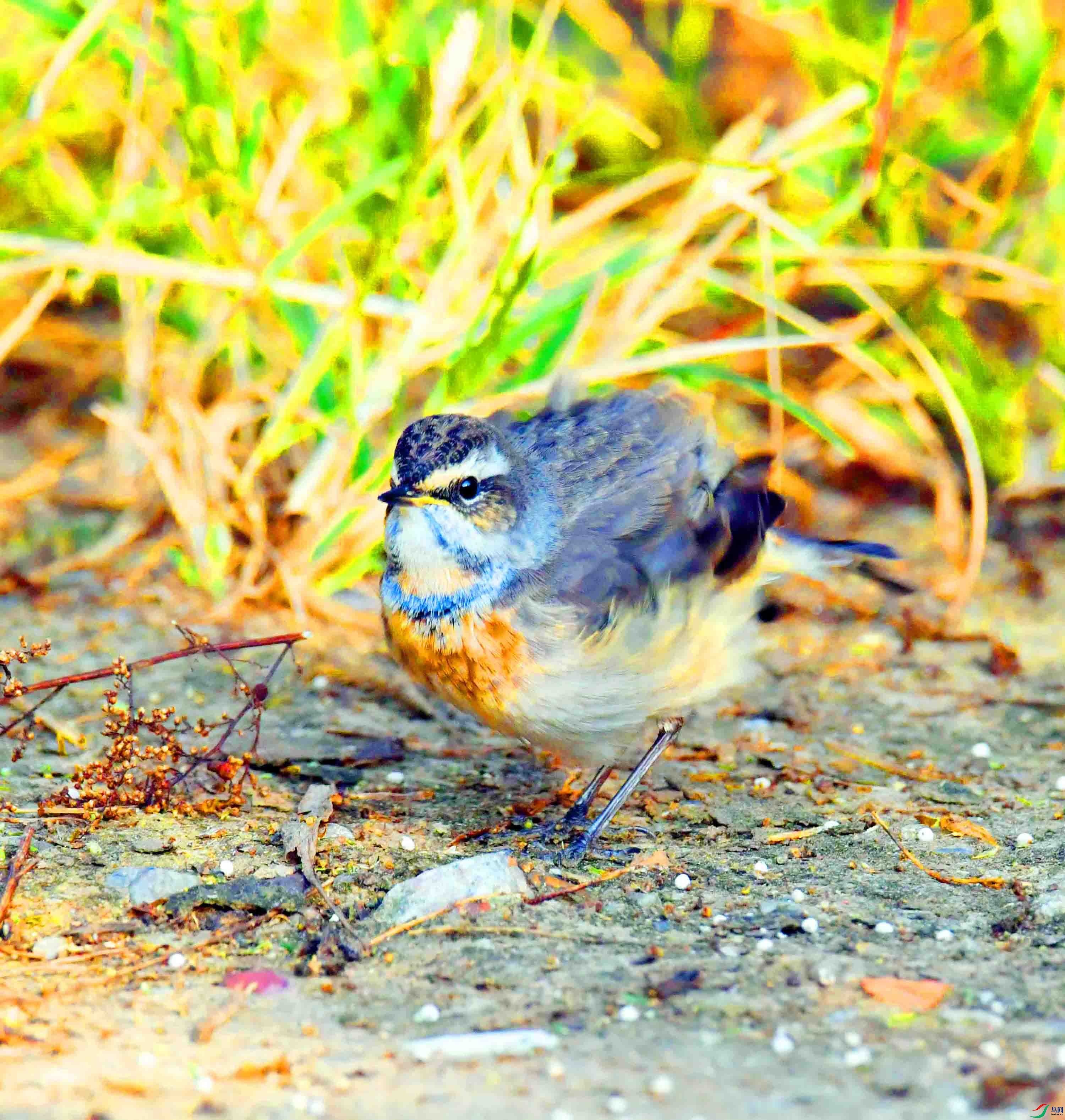 DSC_6282.JPG
