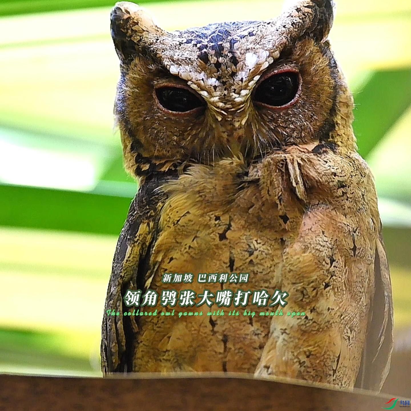 �¼��� ��������԰ ����^�Ŵ�����Ƿ-����.jpg