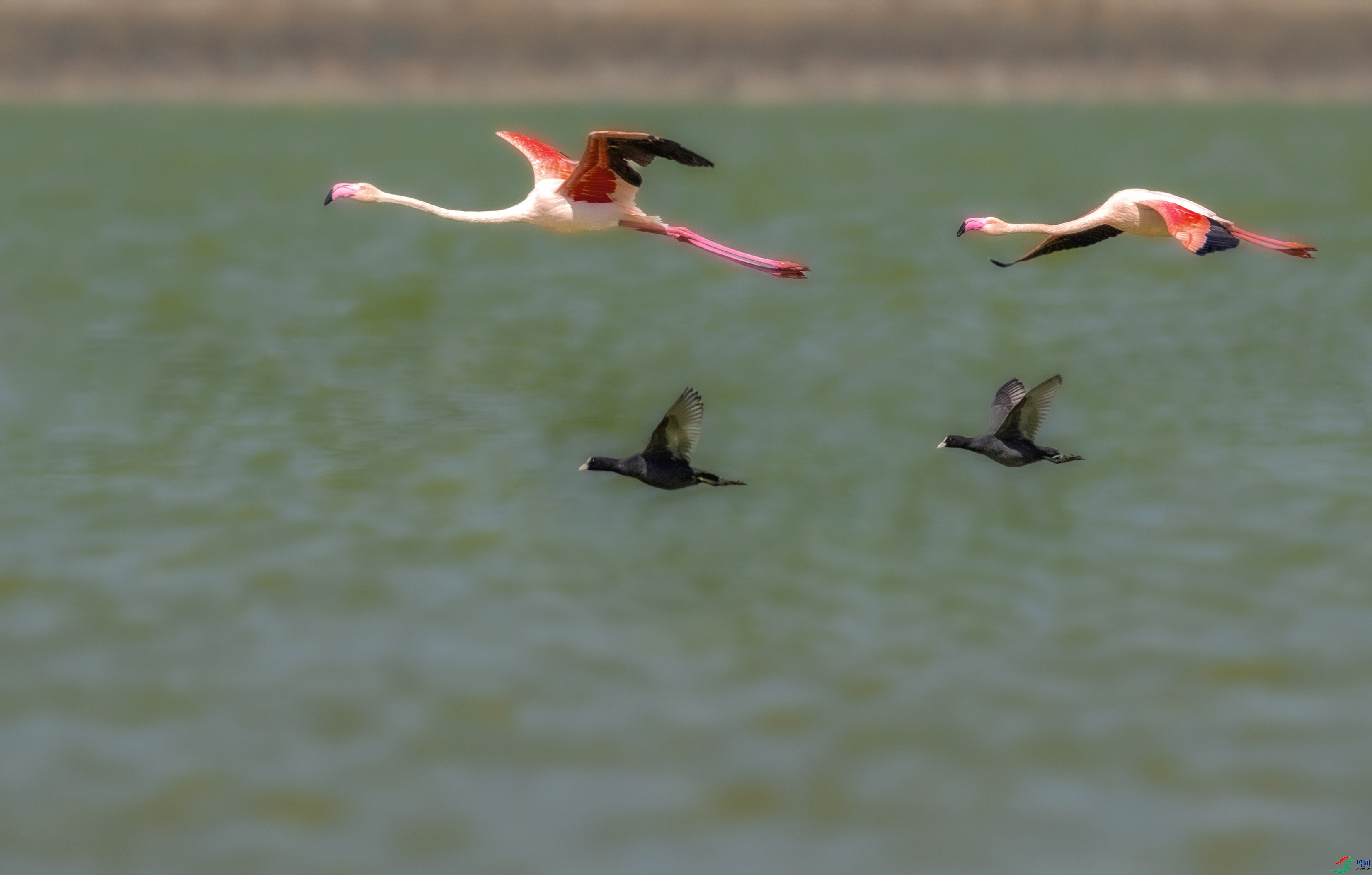 _U4I3045 ���� 4.jpg