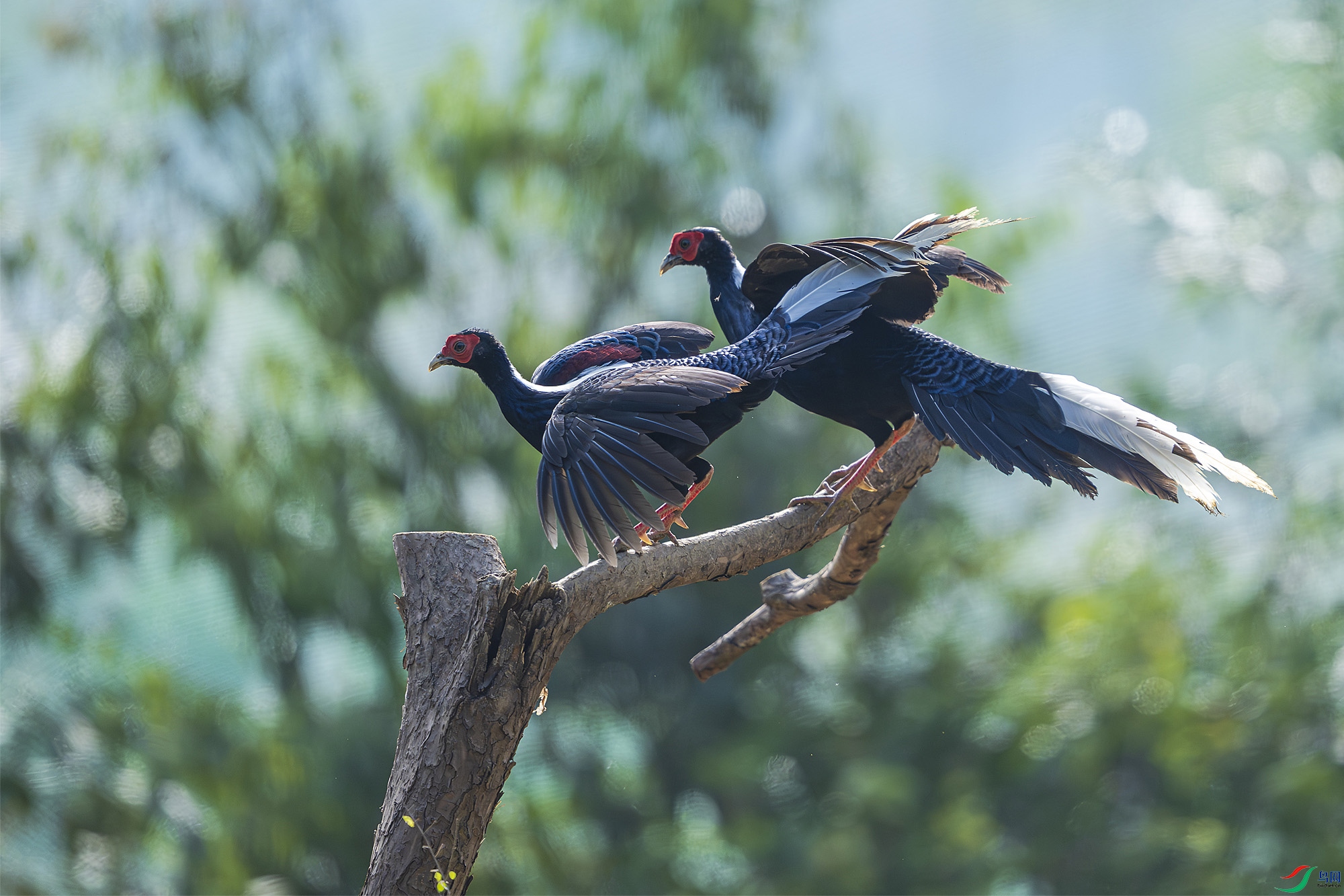 _DSC3017 ���� 2.jpg