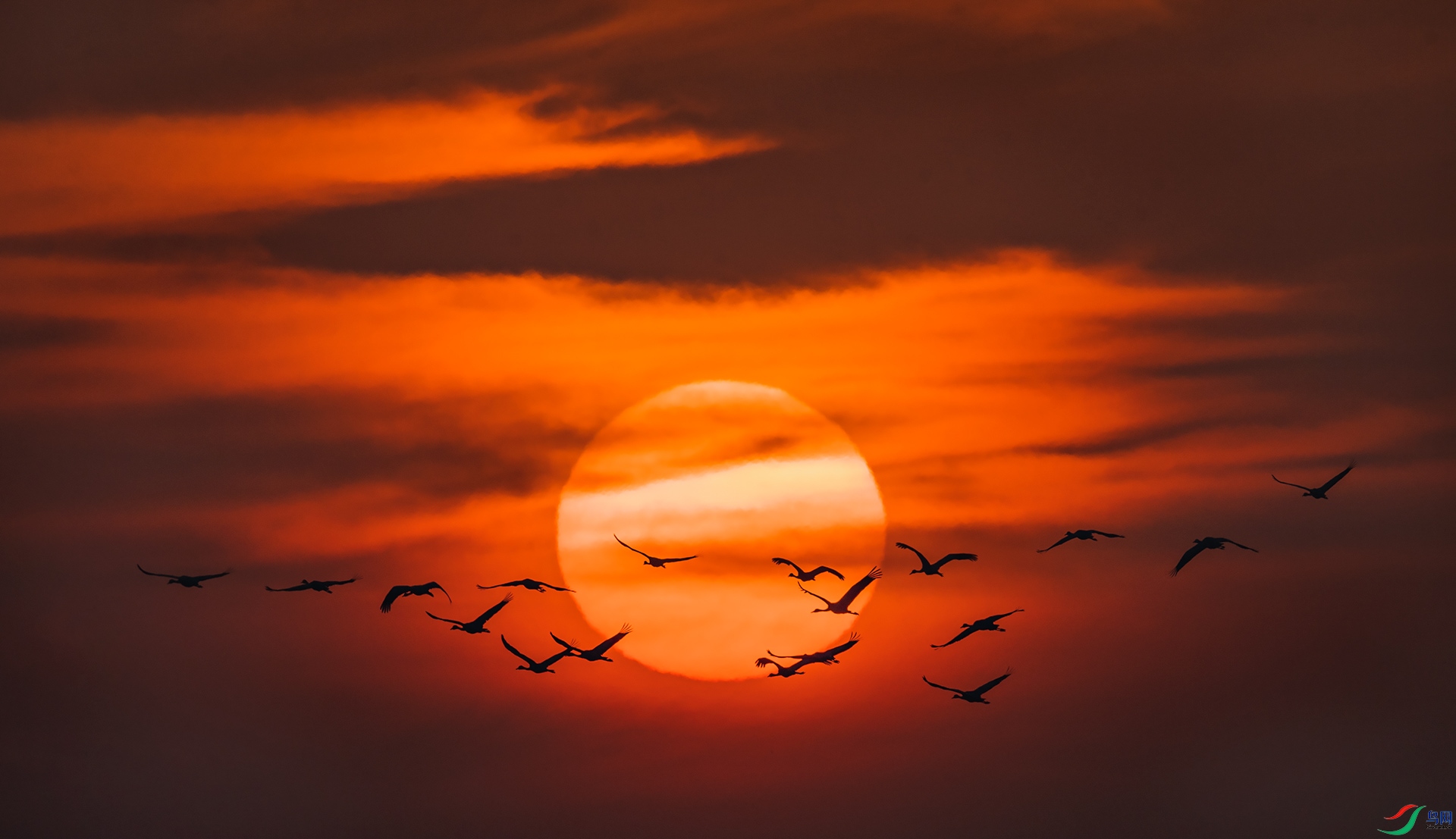 �Һ�