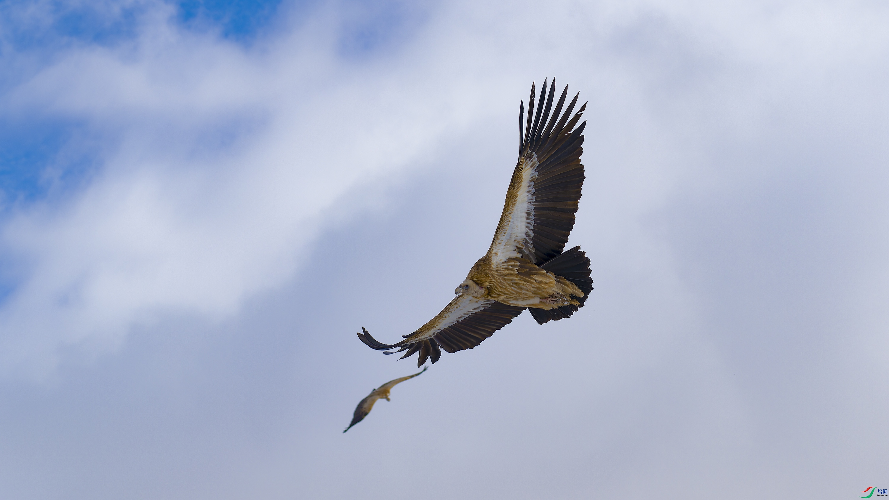 DSC_3407_DxO.jpg