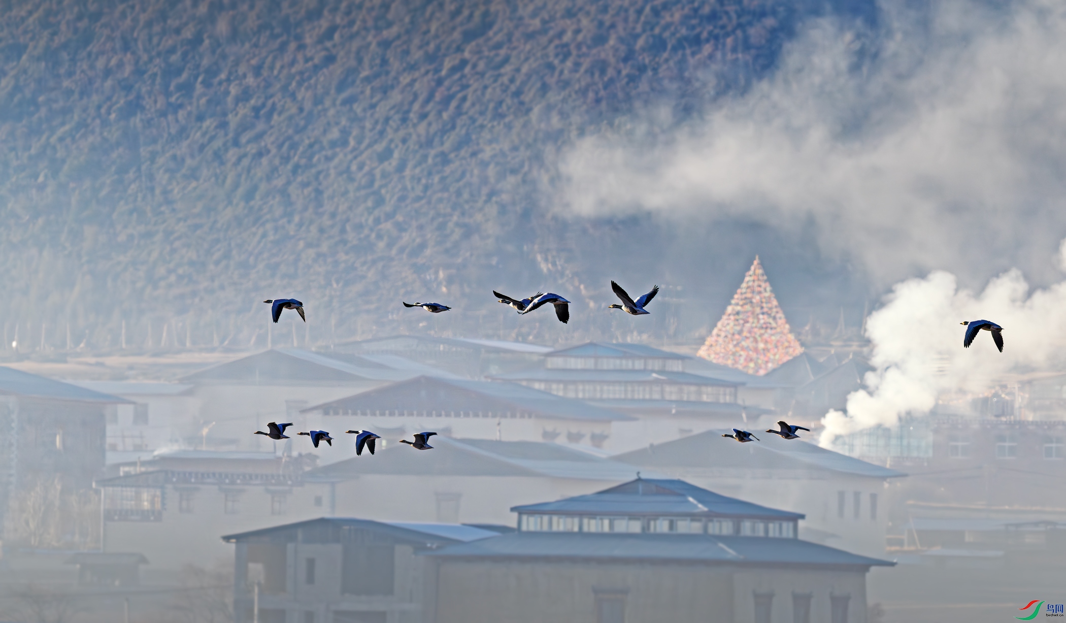 DSC_7013-2.jpg