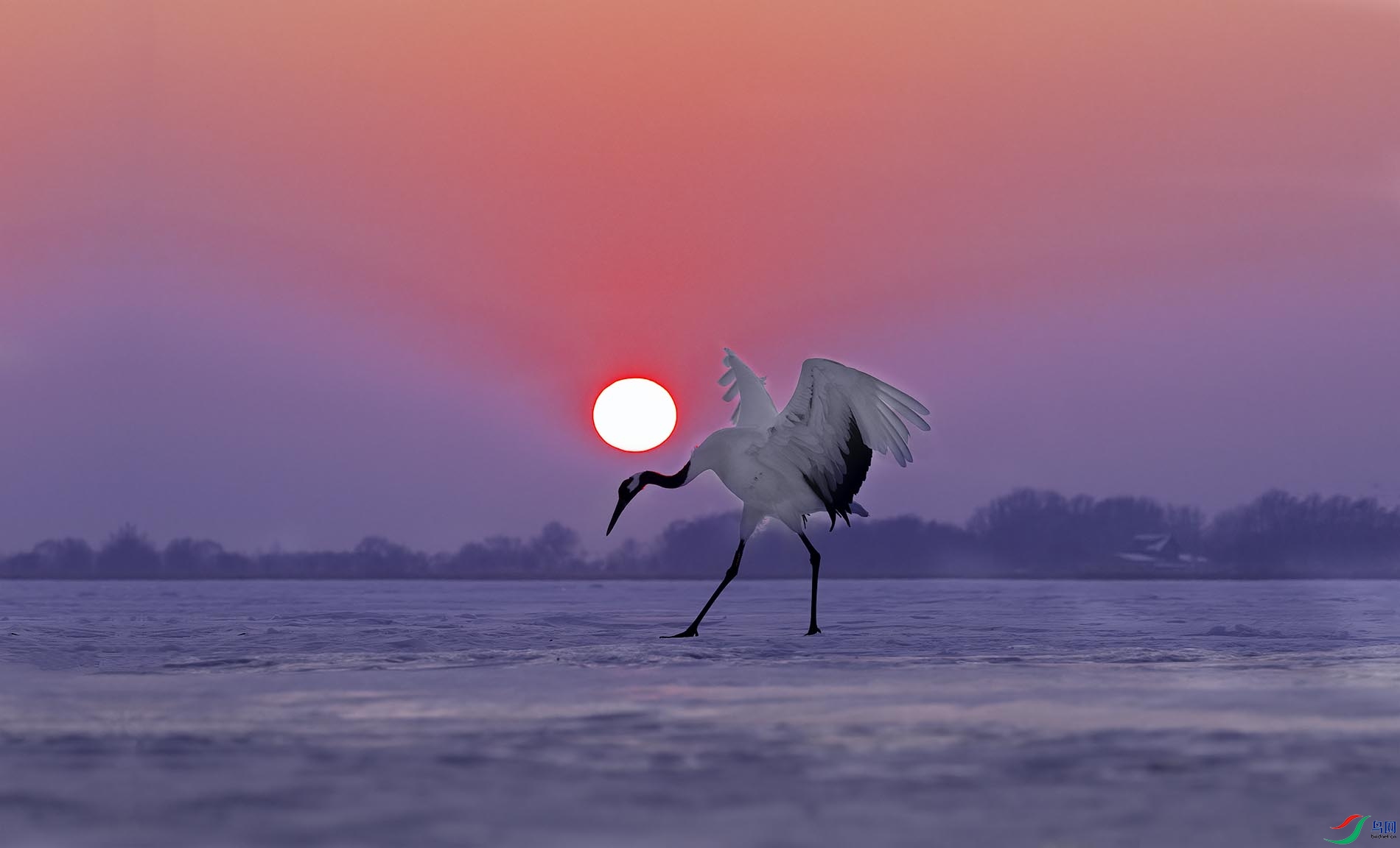 ϼ�ں�Ӱ���׶�����