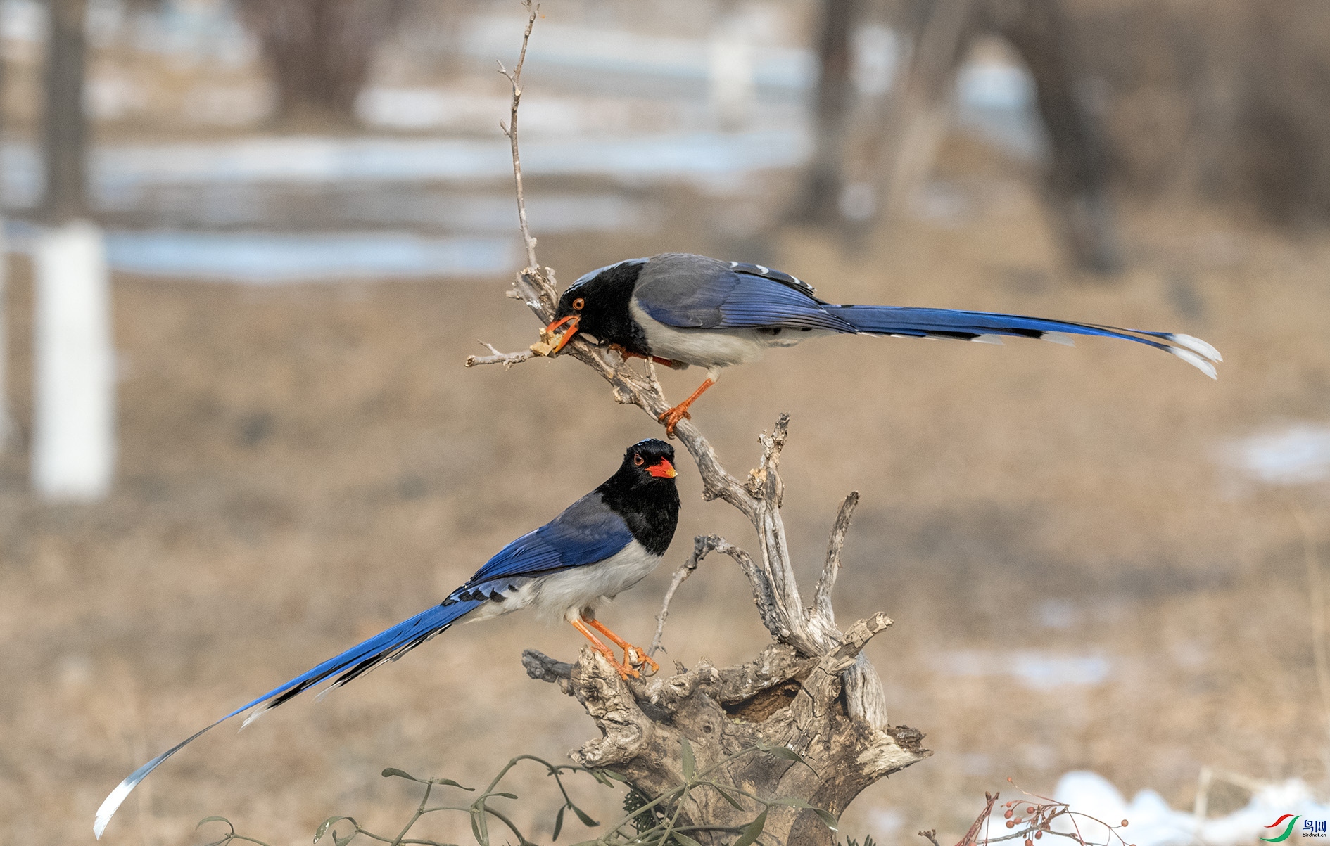 DSC_2930_��ͼ�� ����.jpg