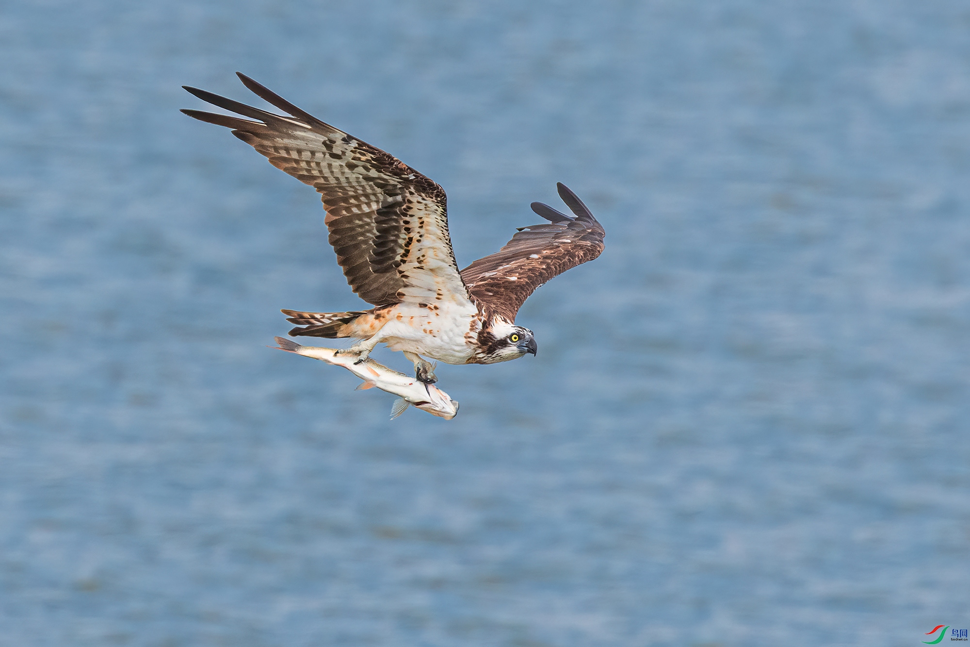 2W3A4579-gigapixel-scale-2_00x ����.jpg