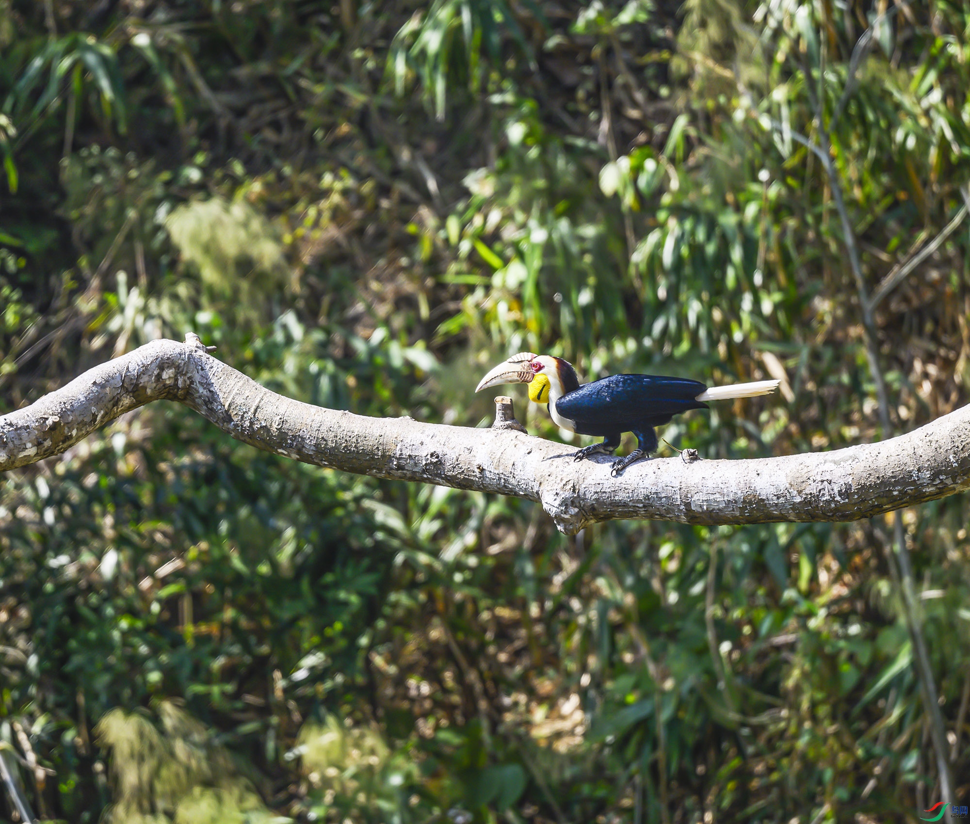 DSC_7268.jpg