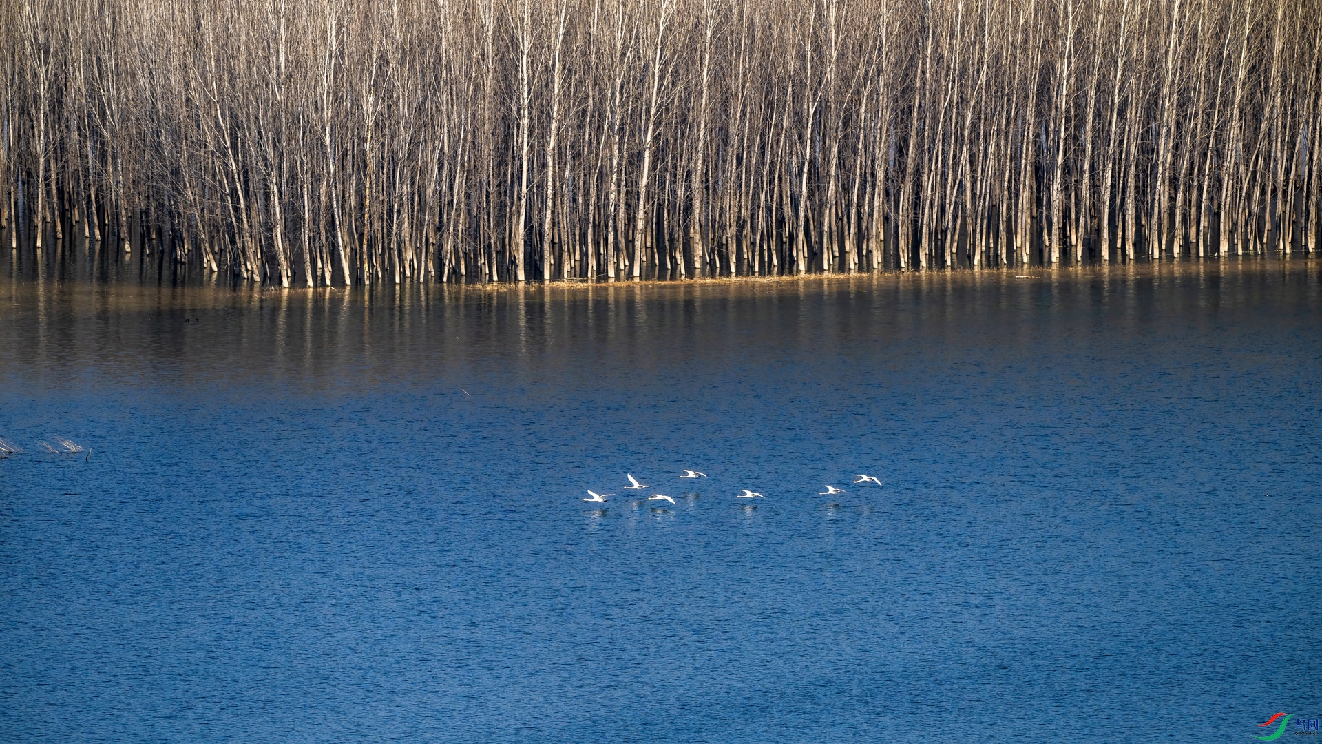 _DSC7872.jpg