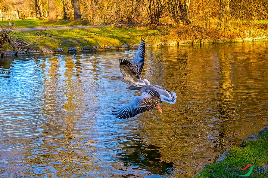 DSC_9890b.jpg