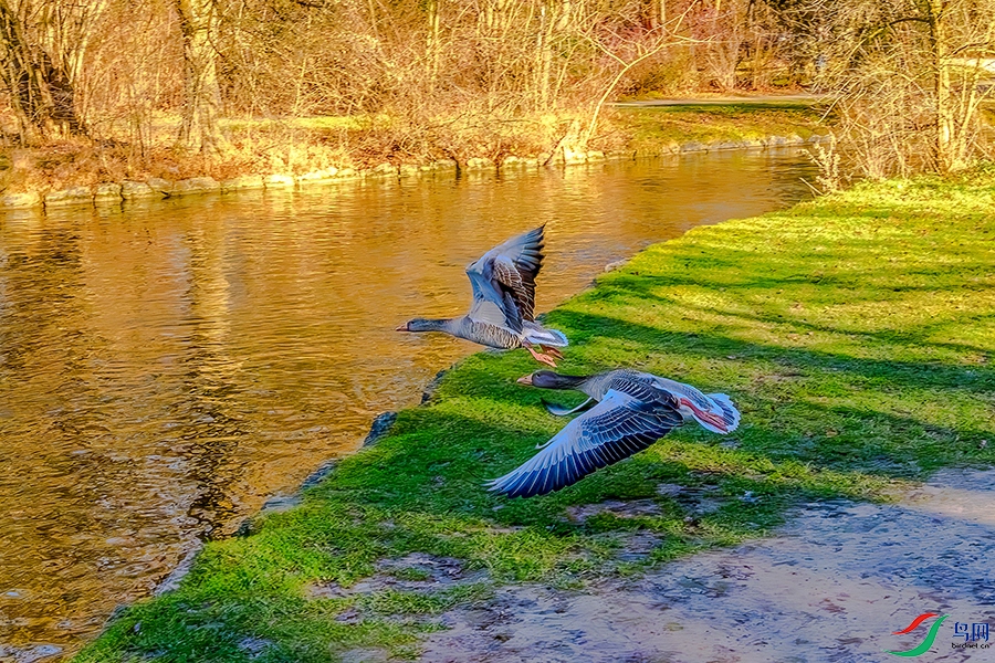DSC_9887b.jpg