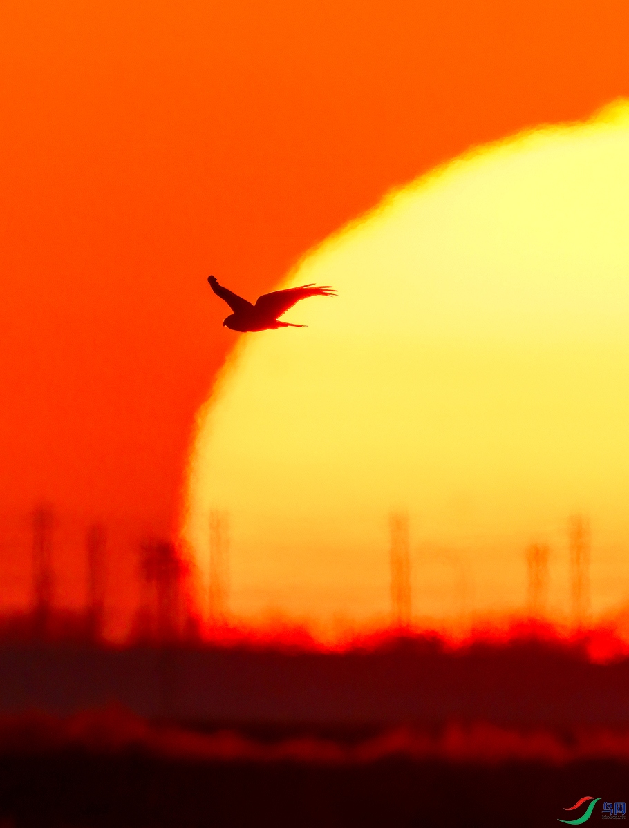 _05A1916 _����.jpg