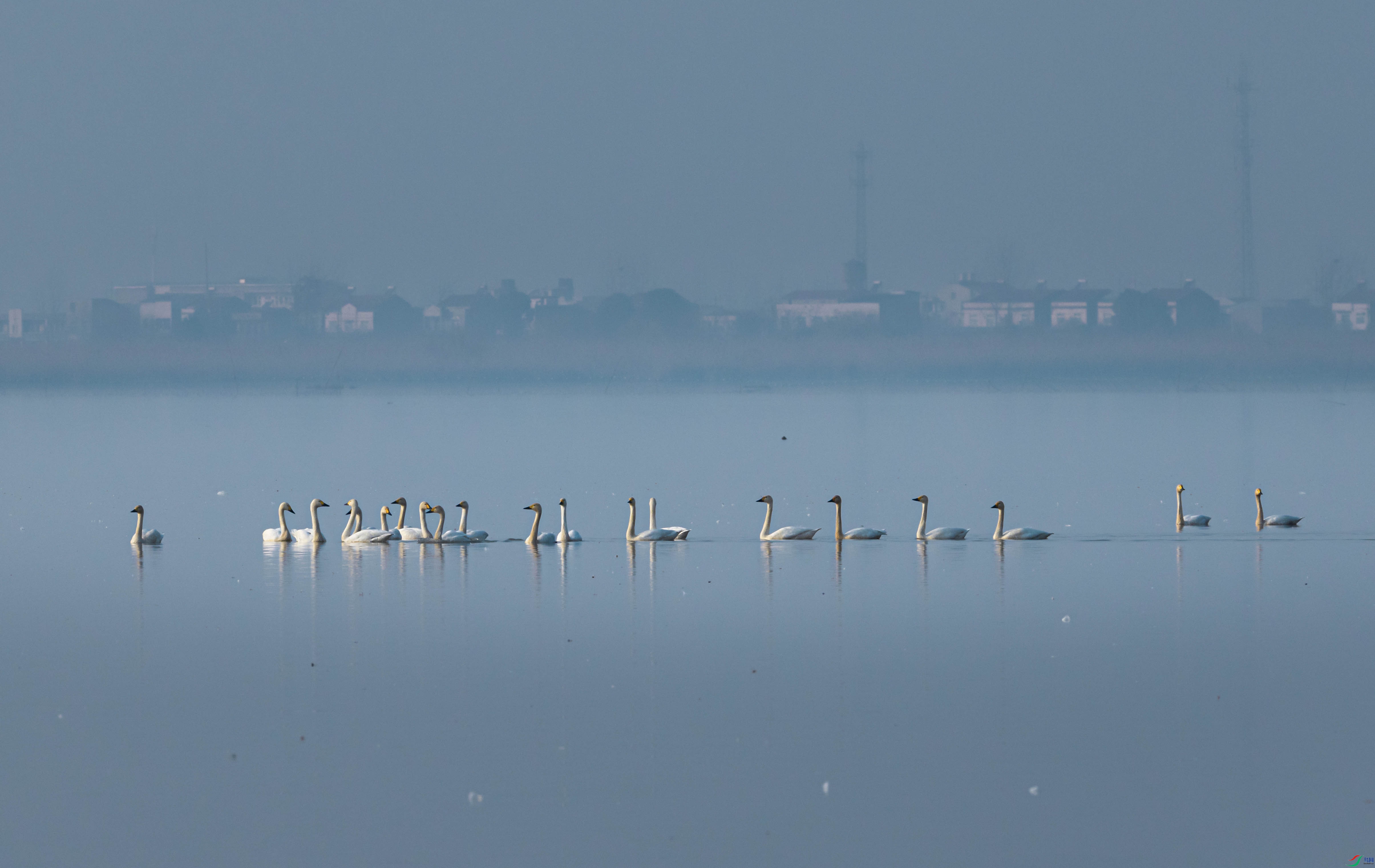 IMGL1377 ����.jpg