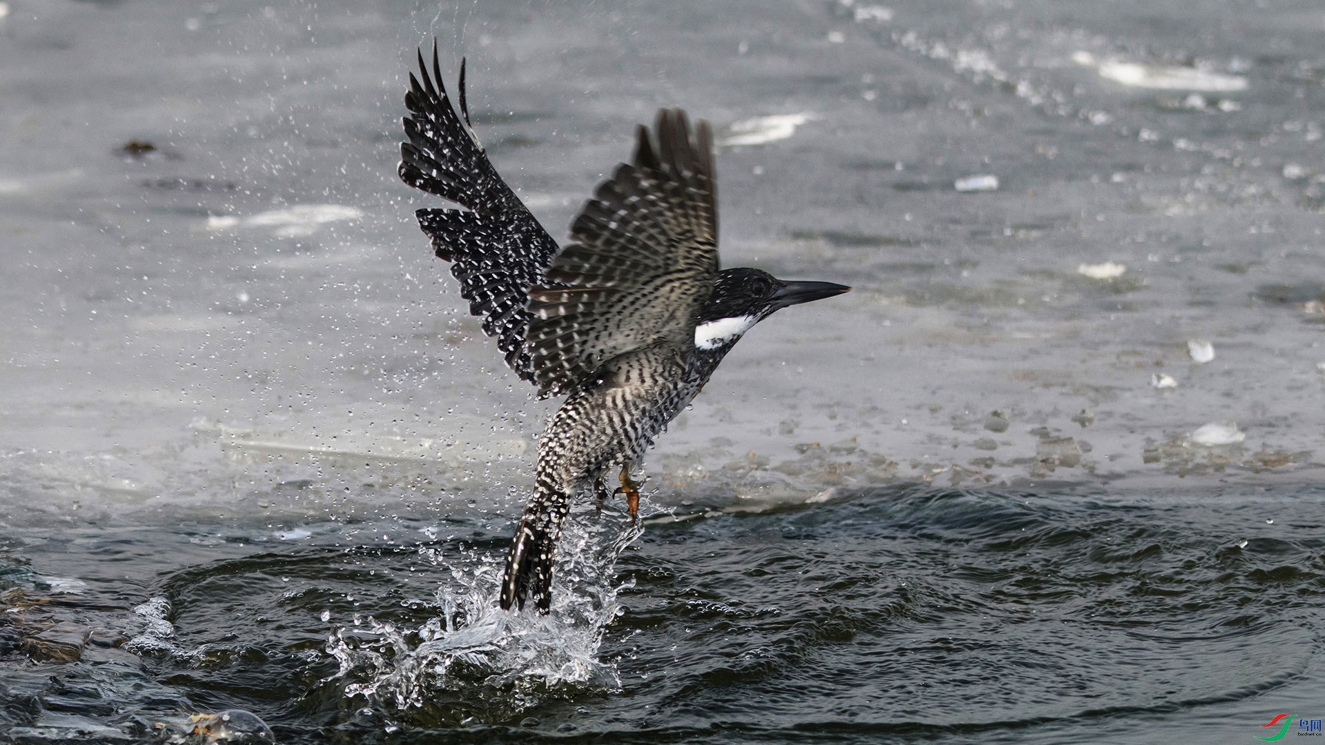 DSC_0552-20240122�� .jpg