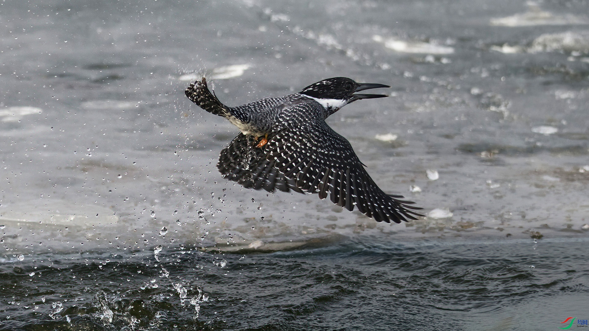 DSC_0553-20240122�� .jpg