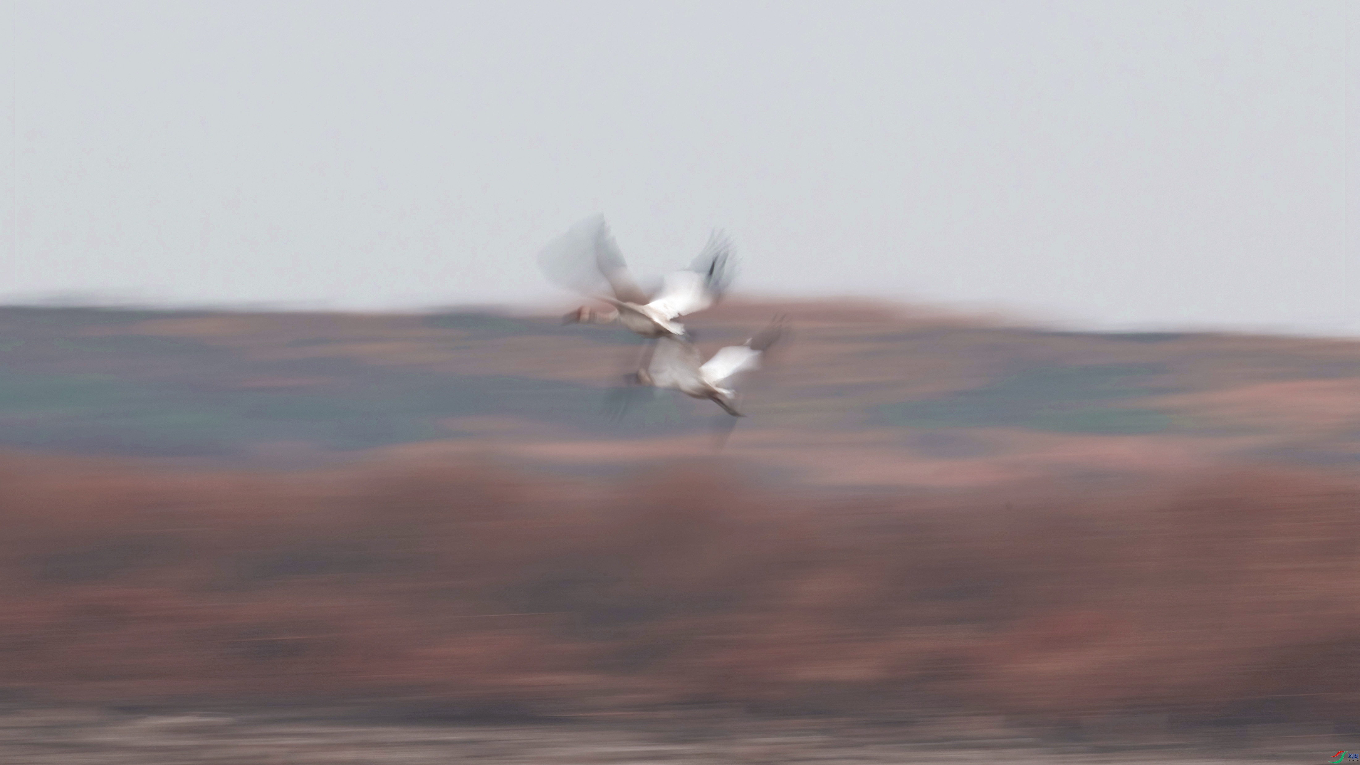 DSC_9028.jpg