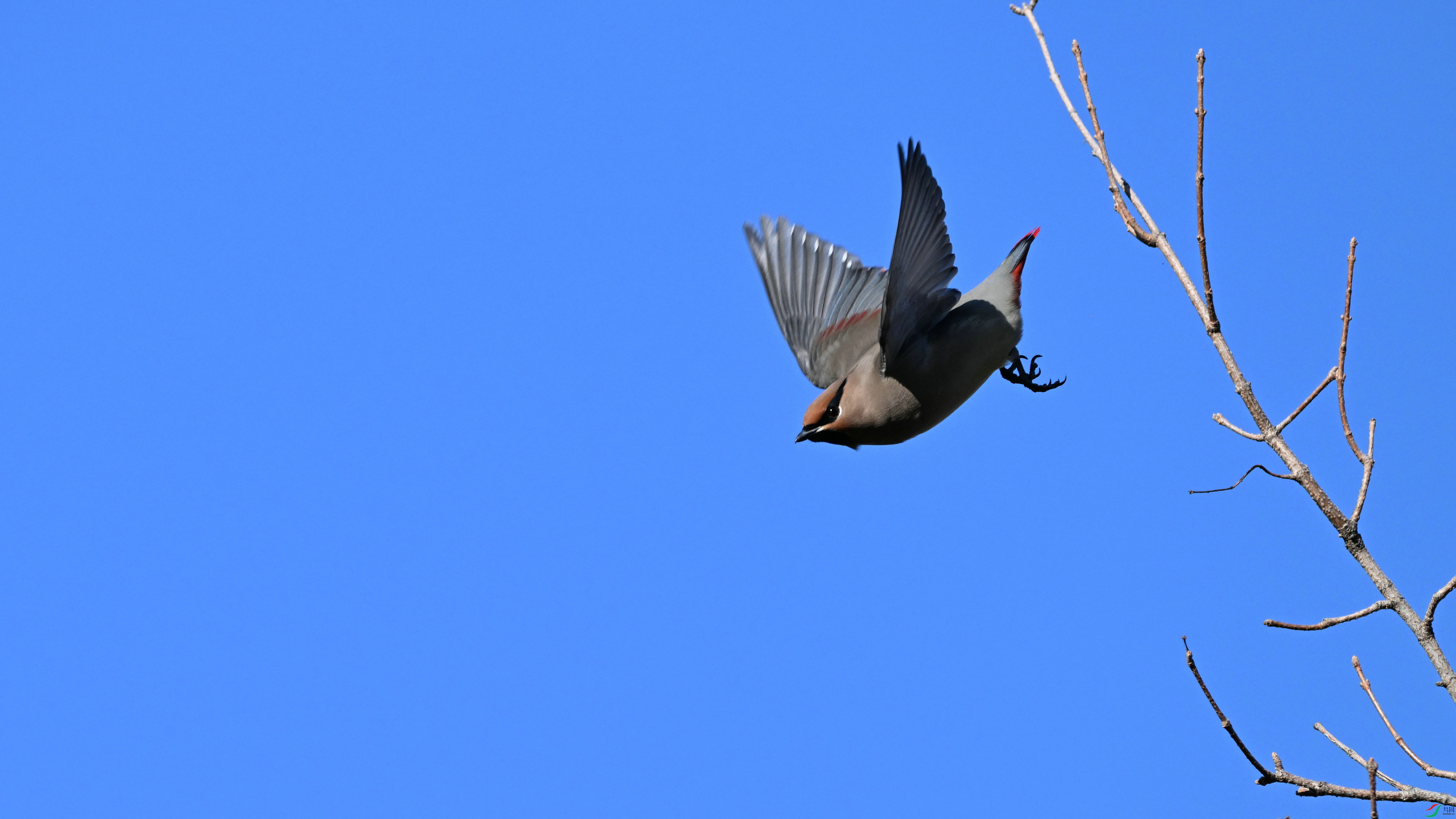 DSC_4148.JPG