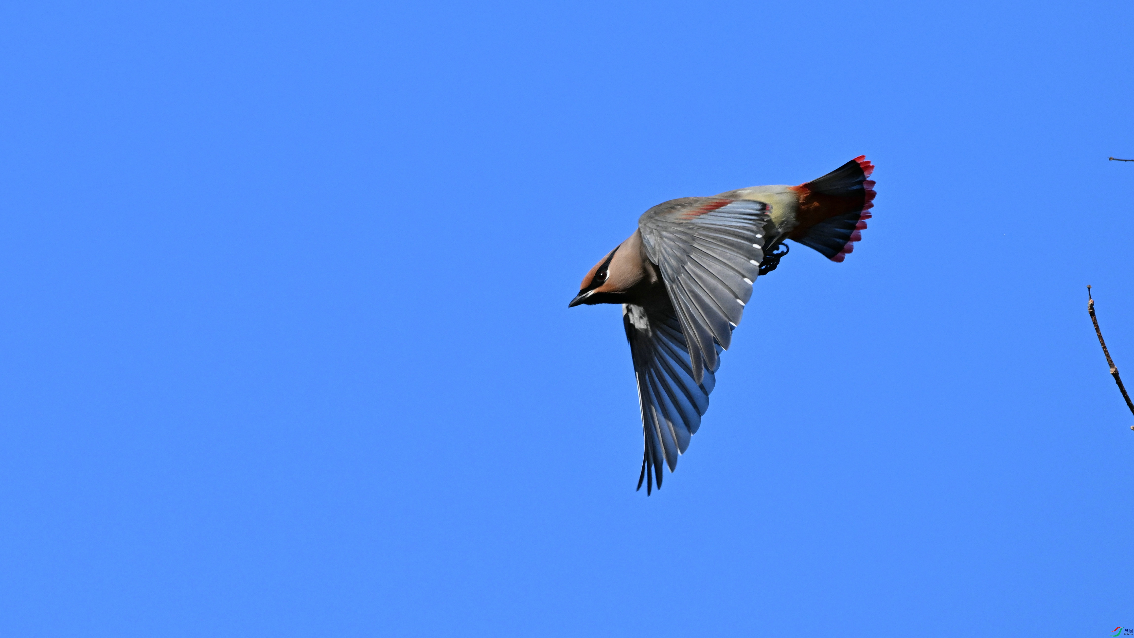 DSC_4150.JPG