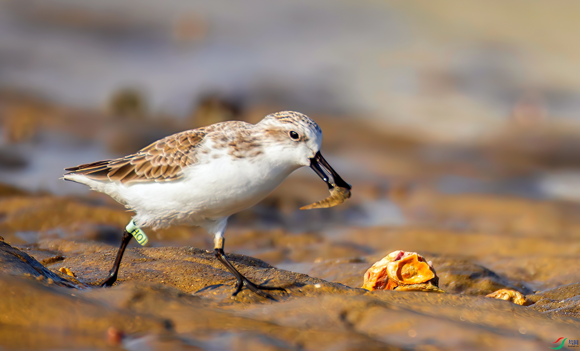 407A8120-----3333  .jpg