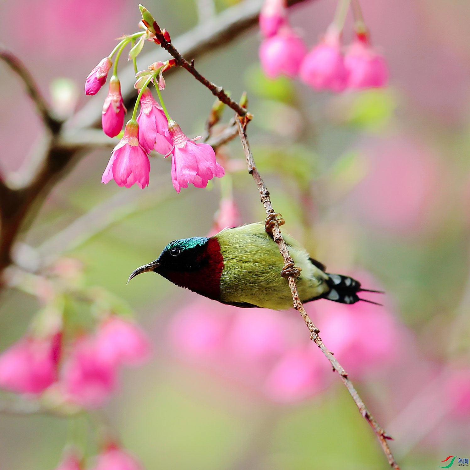 ̫���� (2).JPG