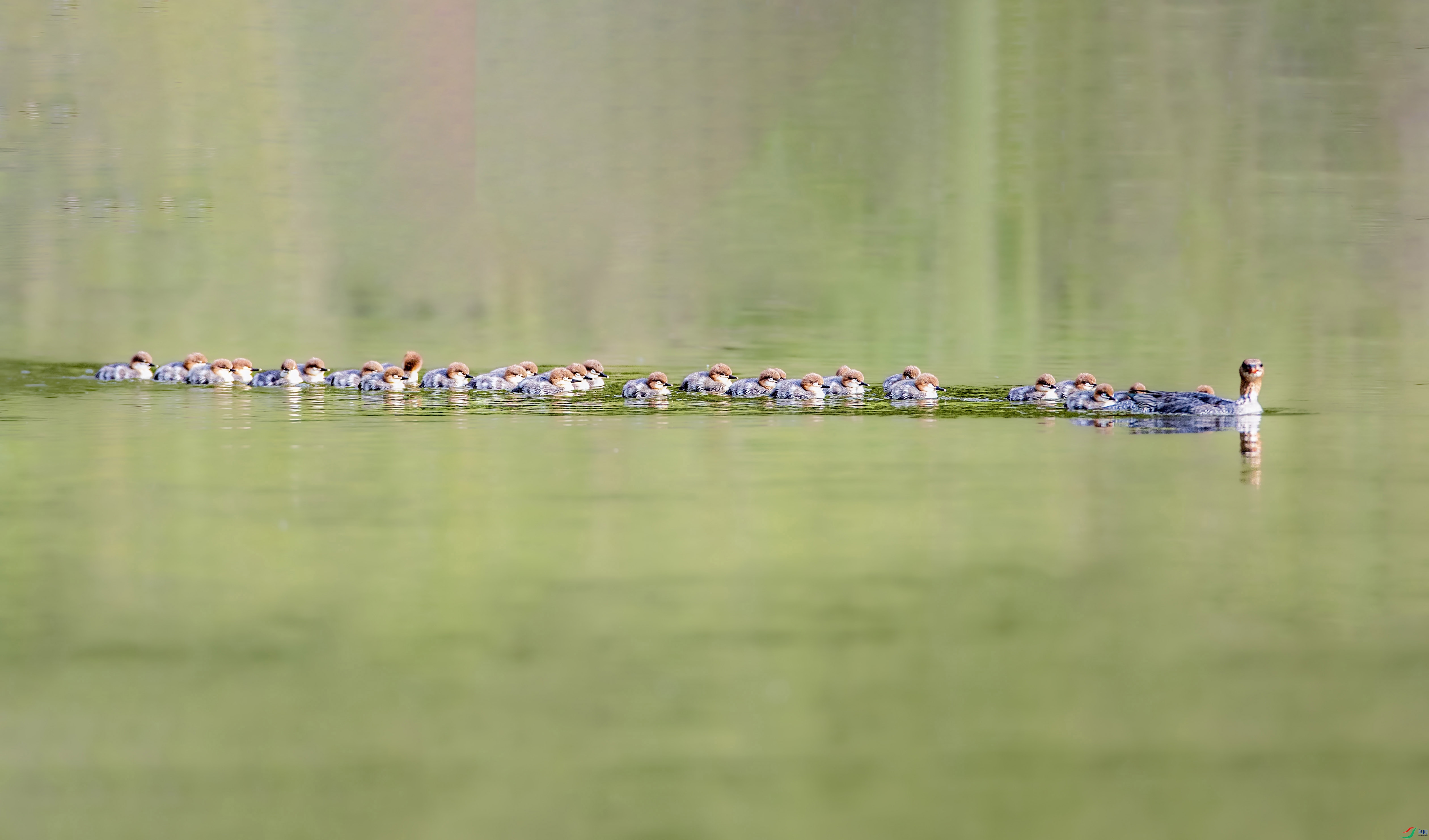 AR7I0523 ����.jpg