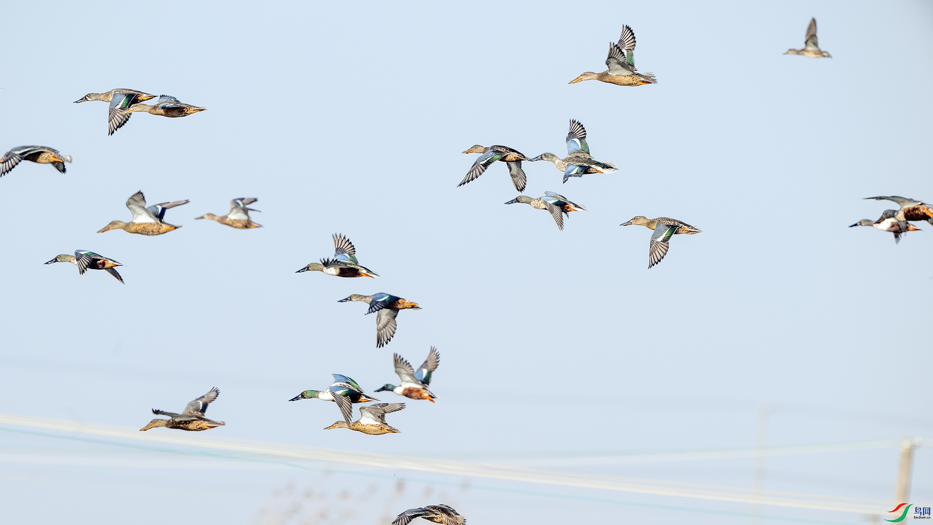 DSC_8406 ����.jpg