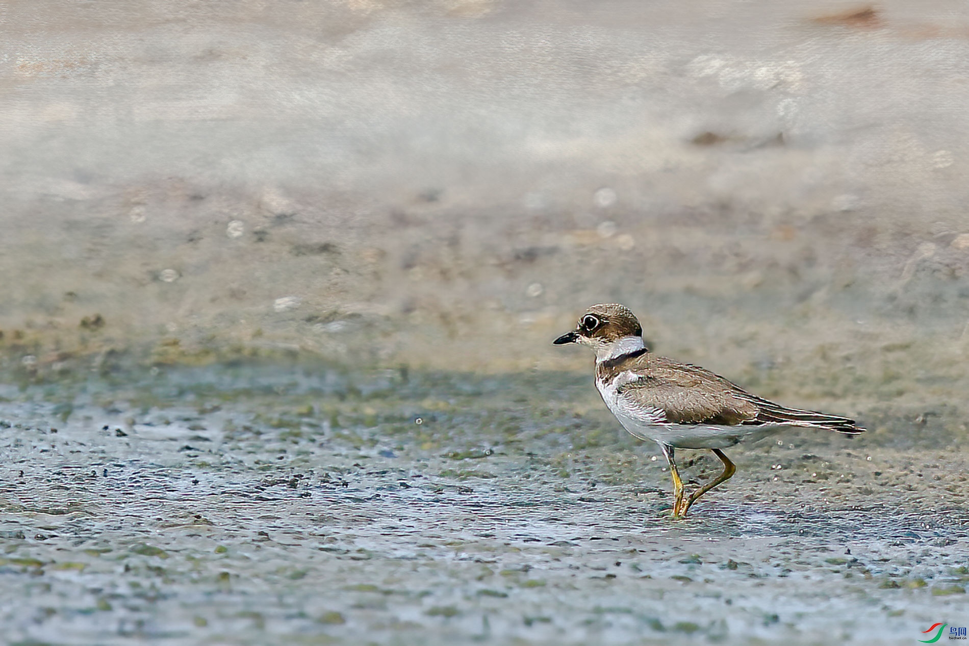 AQ4P4941-1.jpg
