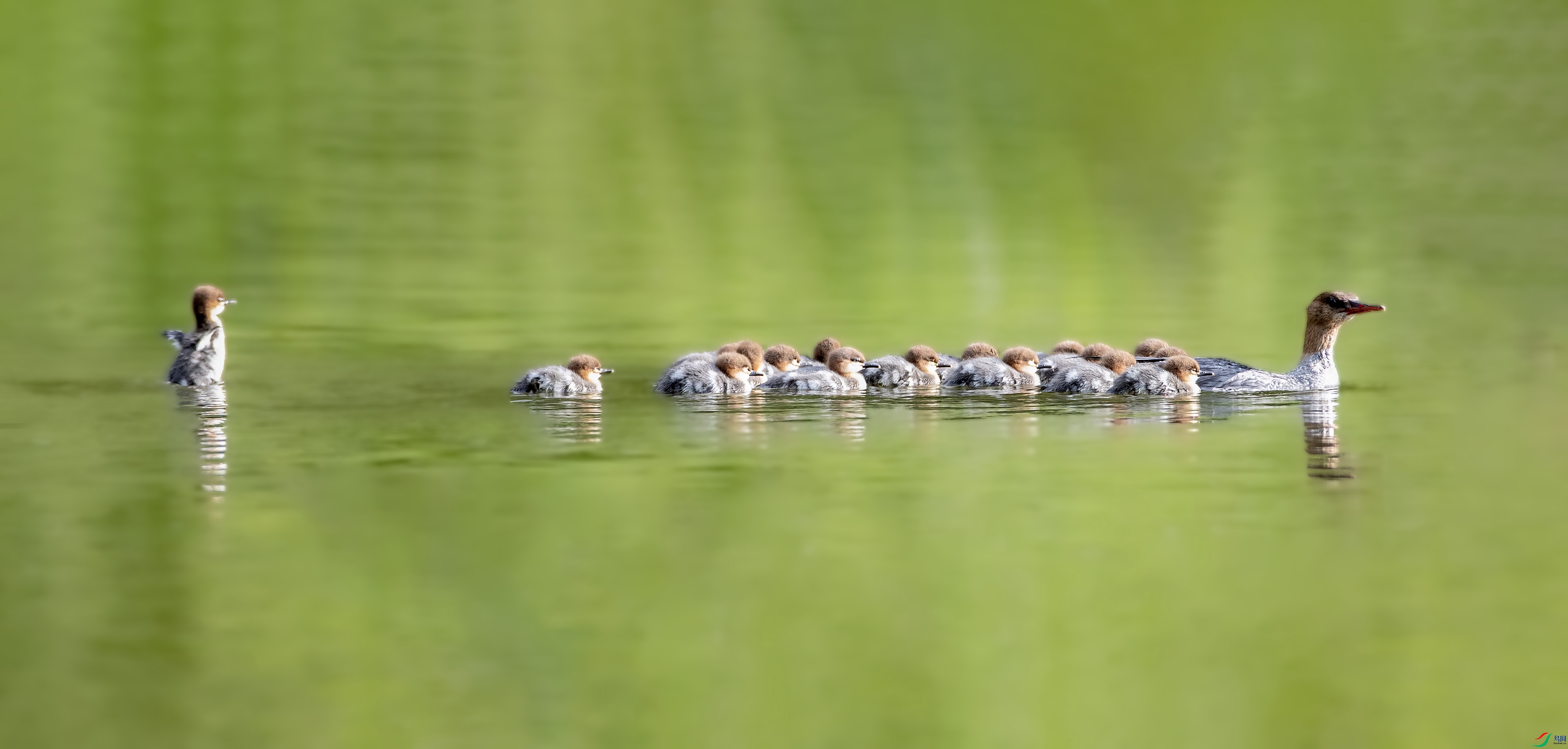 AR7I0587 ����.jpg