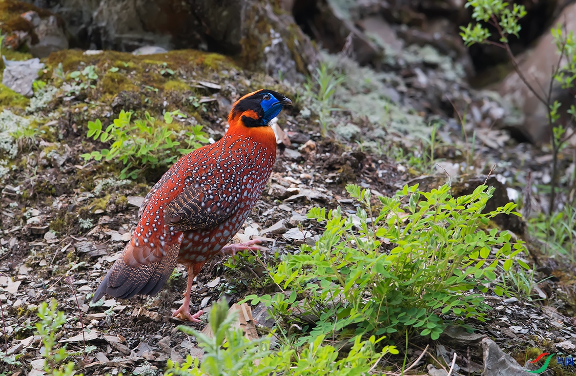 DSC_33801.jpg
