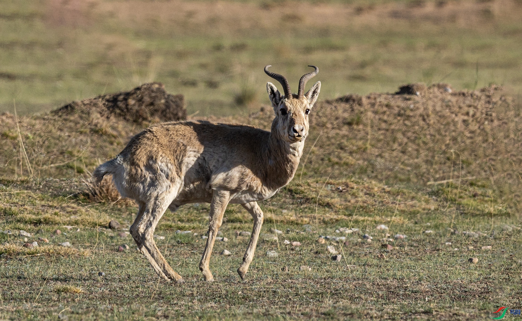 066A1028-1.jpg