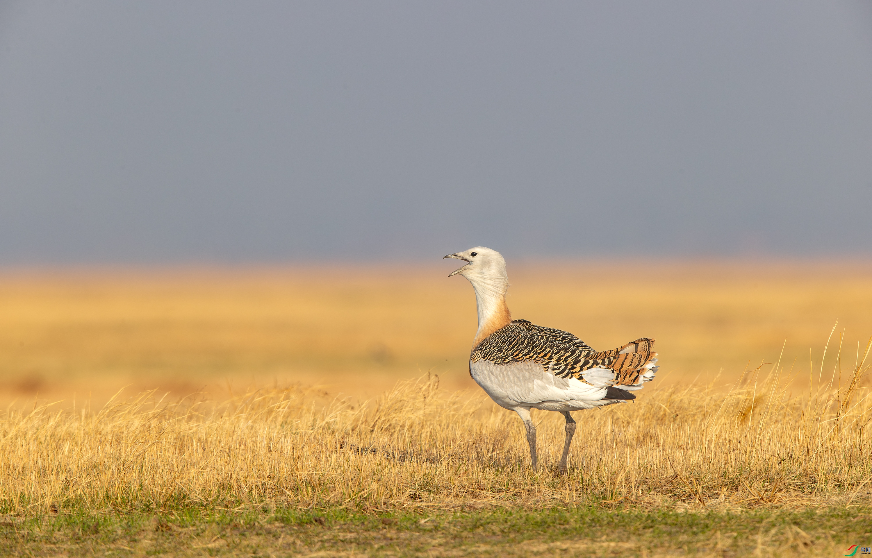 A15I8902 ����.jpg