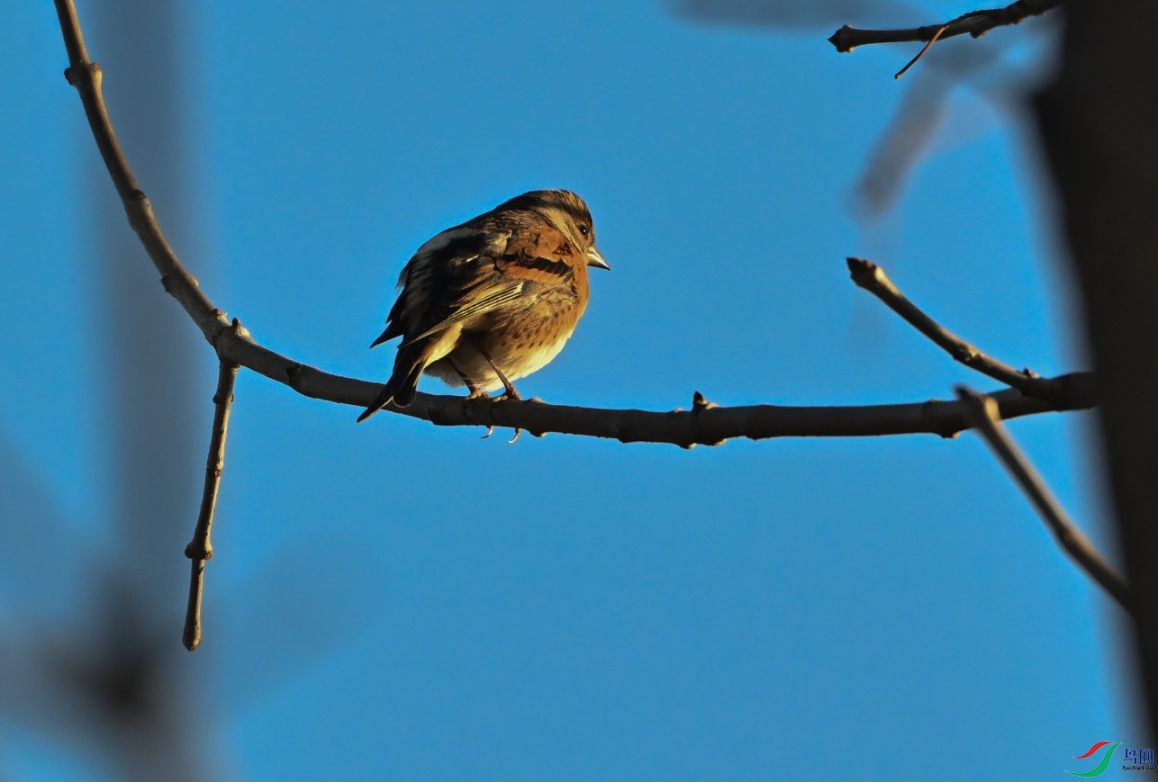 DSC_0076.jpg