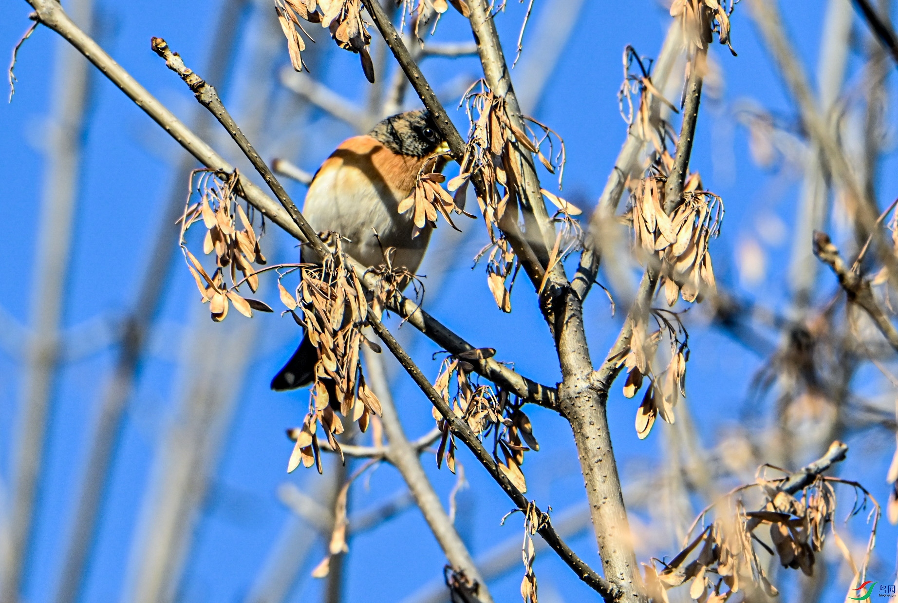 DSC_0255.jpg