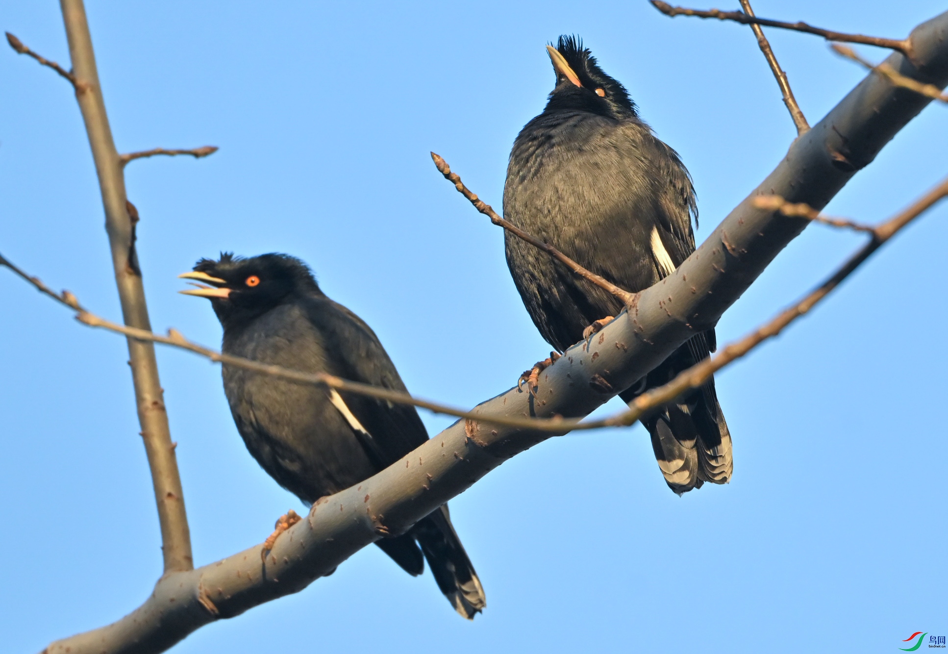 DSC_0356_1.jpg