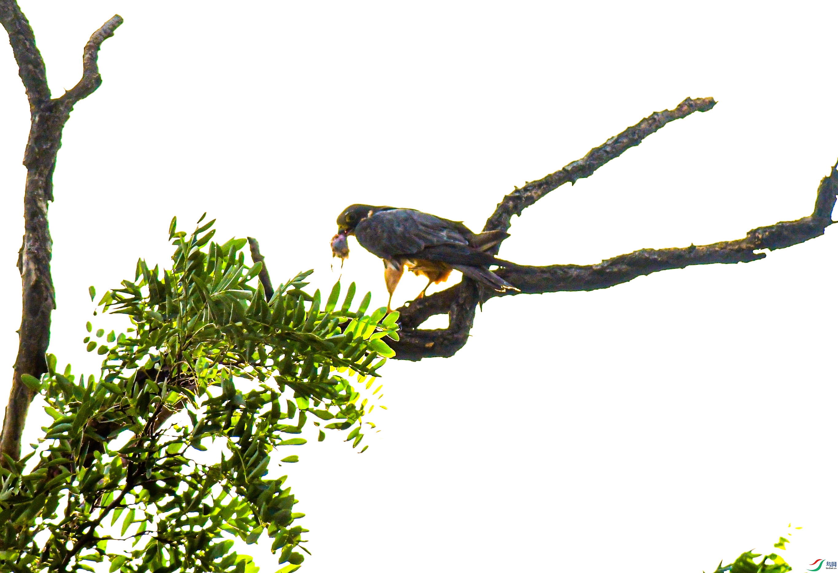 DSC_0748.jpg