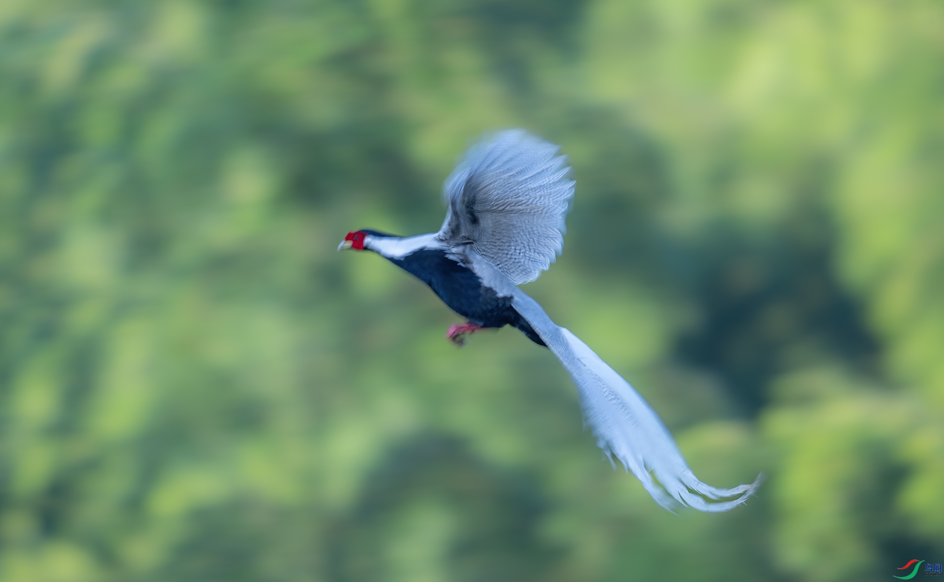 DSC_3588-1.jpg