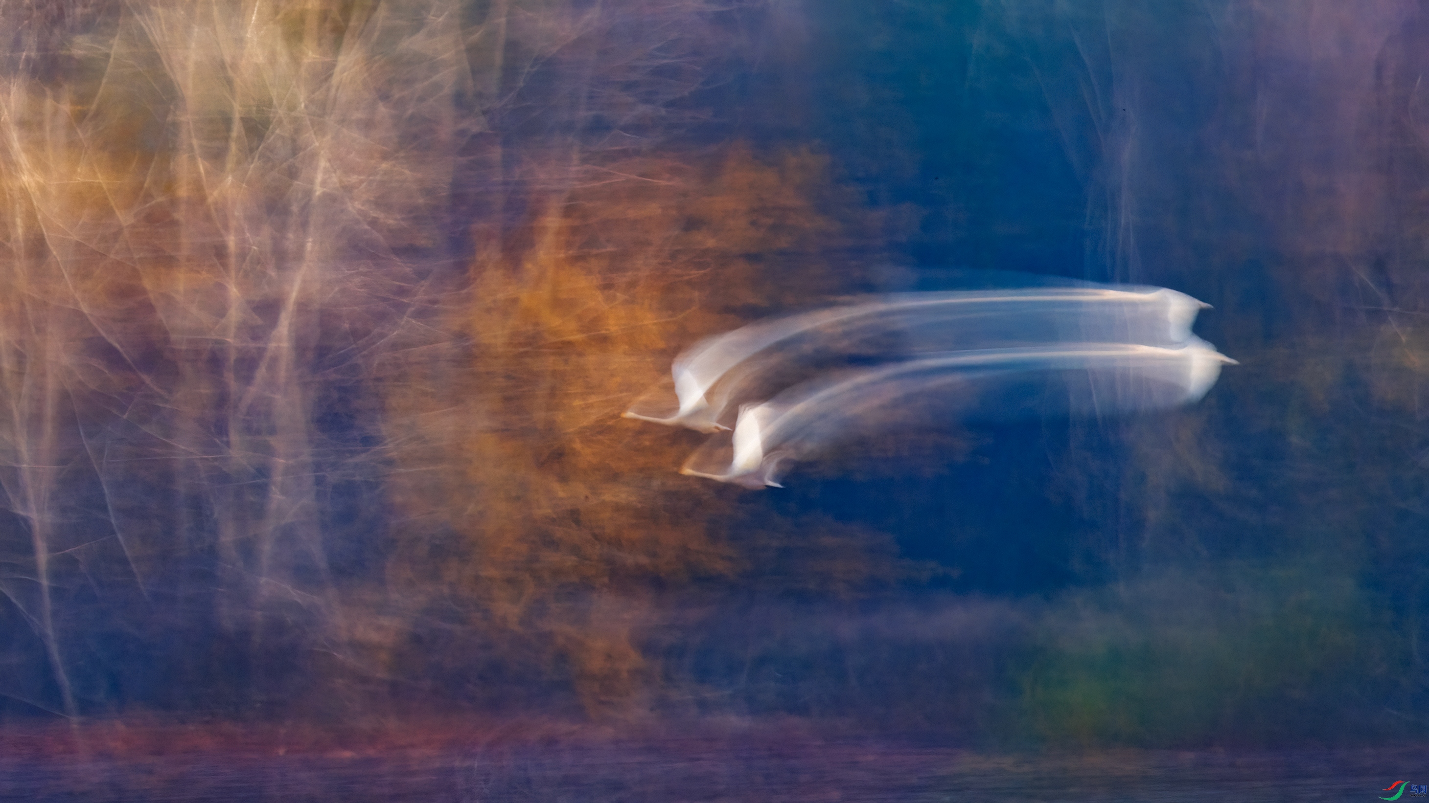 8-����������� 0H0A0708.jpg