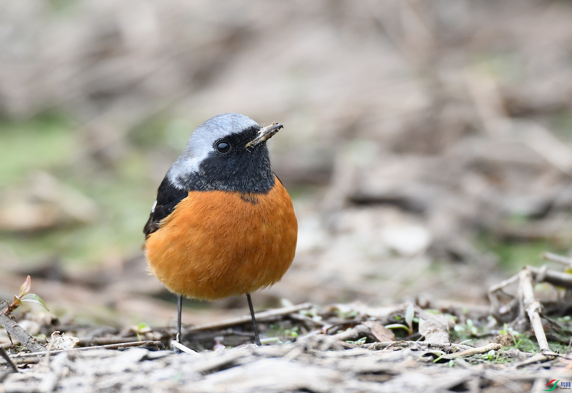 DSC_7994.jpg