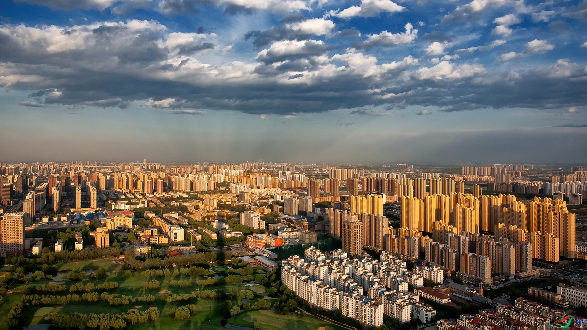 DSC_4560-20210803-1�� .jpg