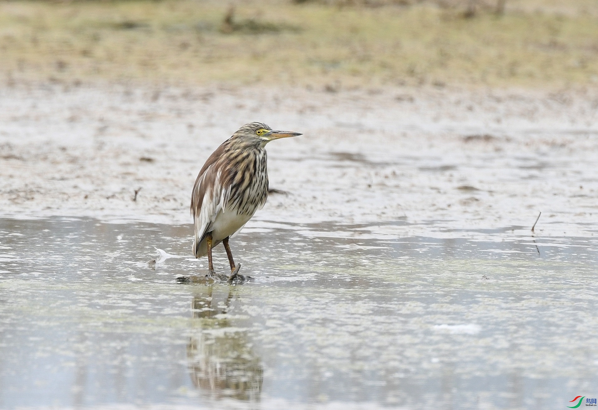 DSC_7204.jpg