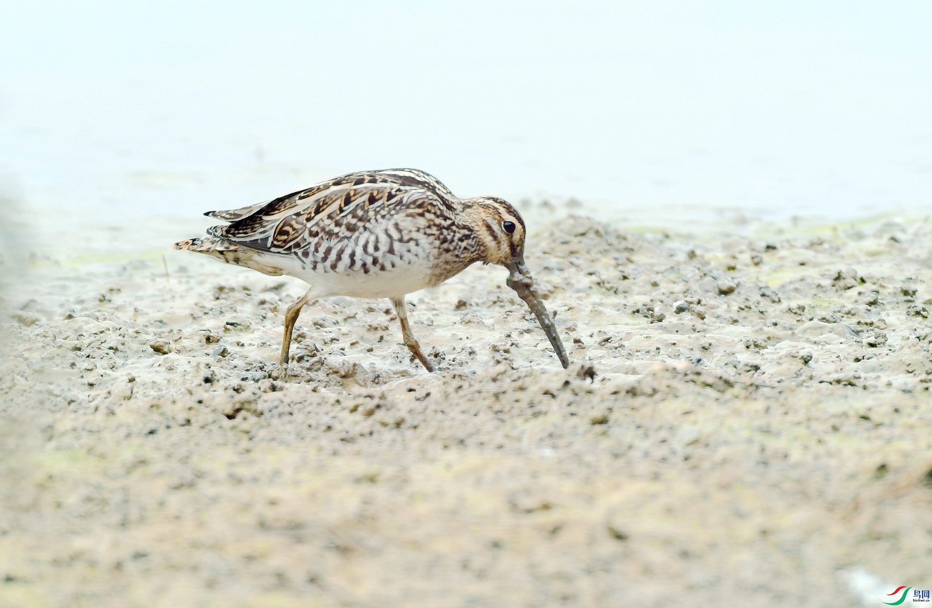 DSC_7211.jpg