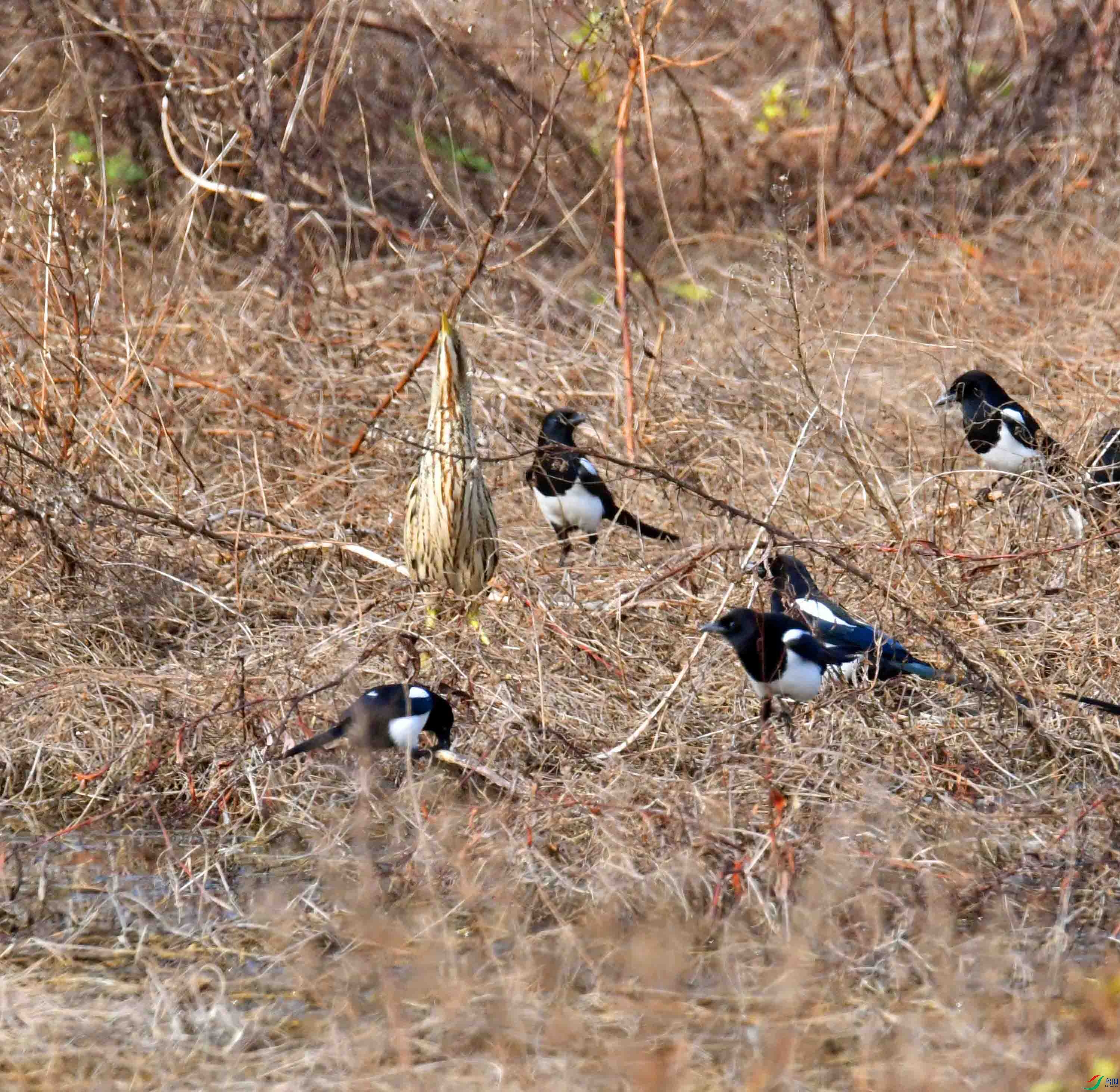 DSC_7542.JPG