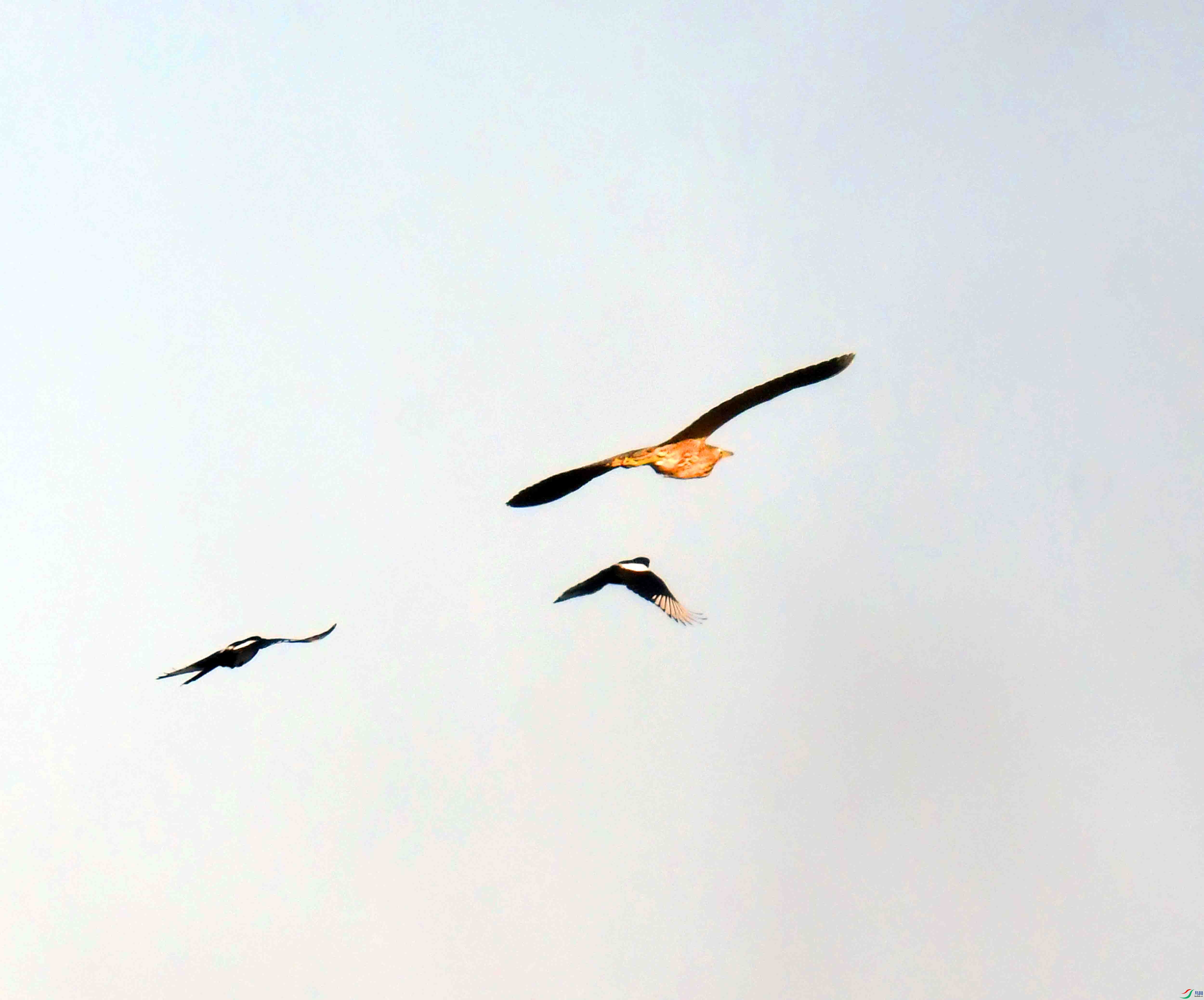 DSC_7638.JPG