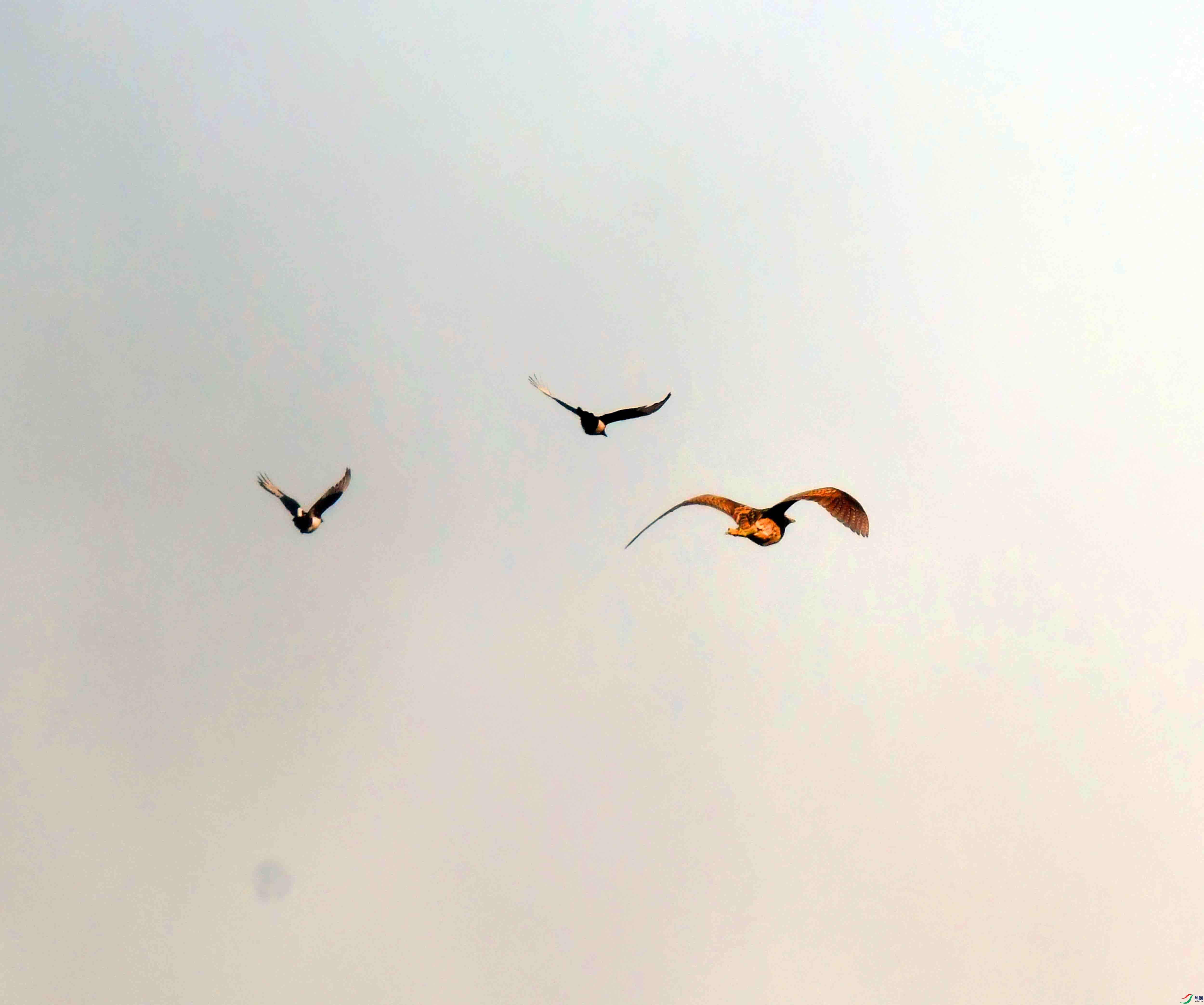 DSC_7641.JPG