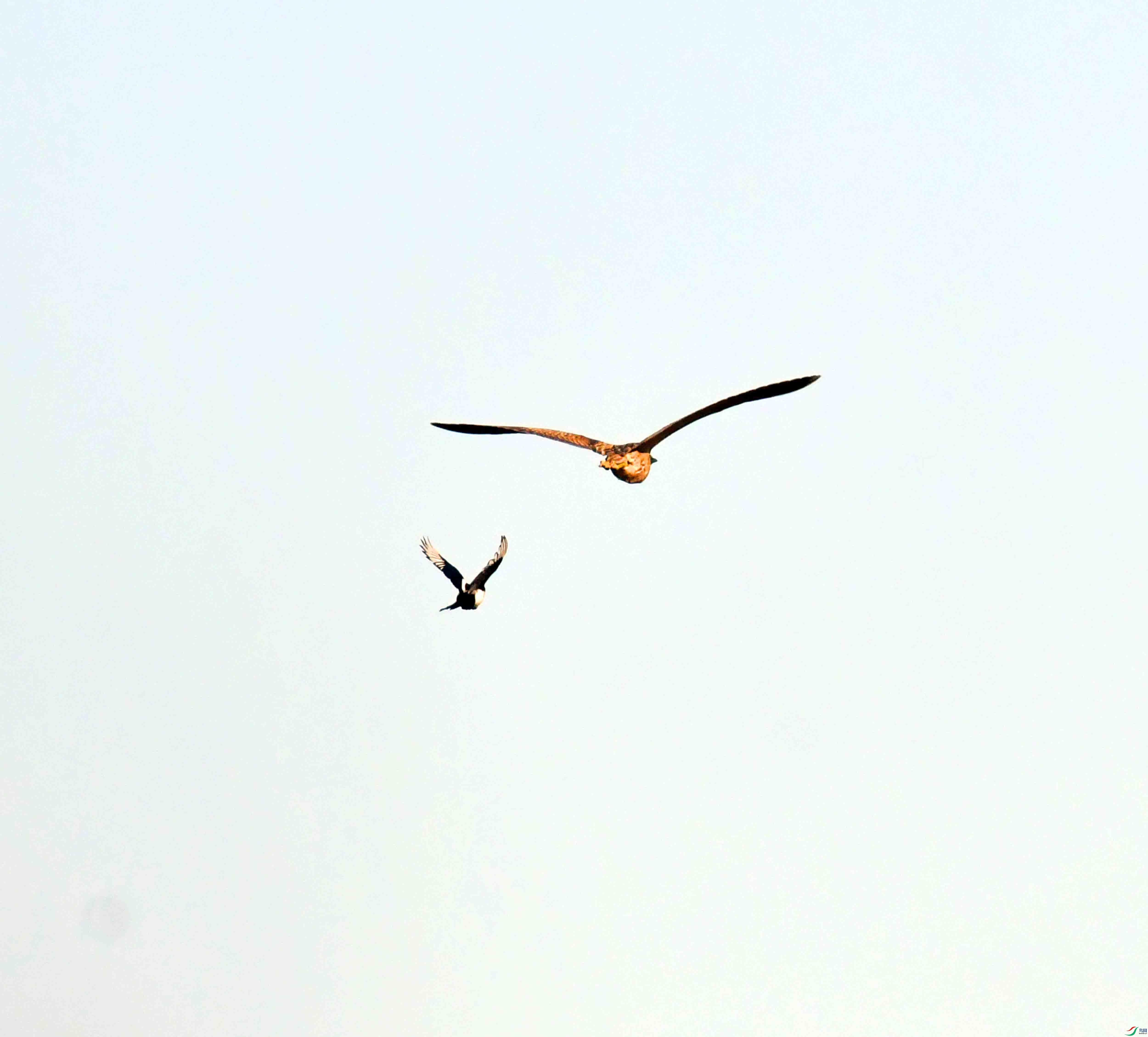 DSC_7643.JPG