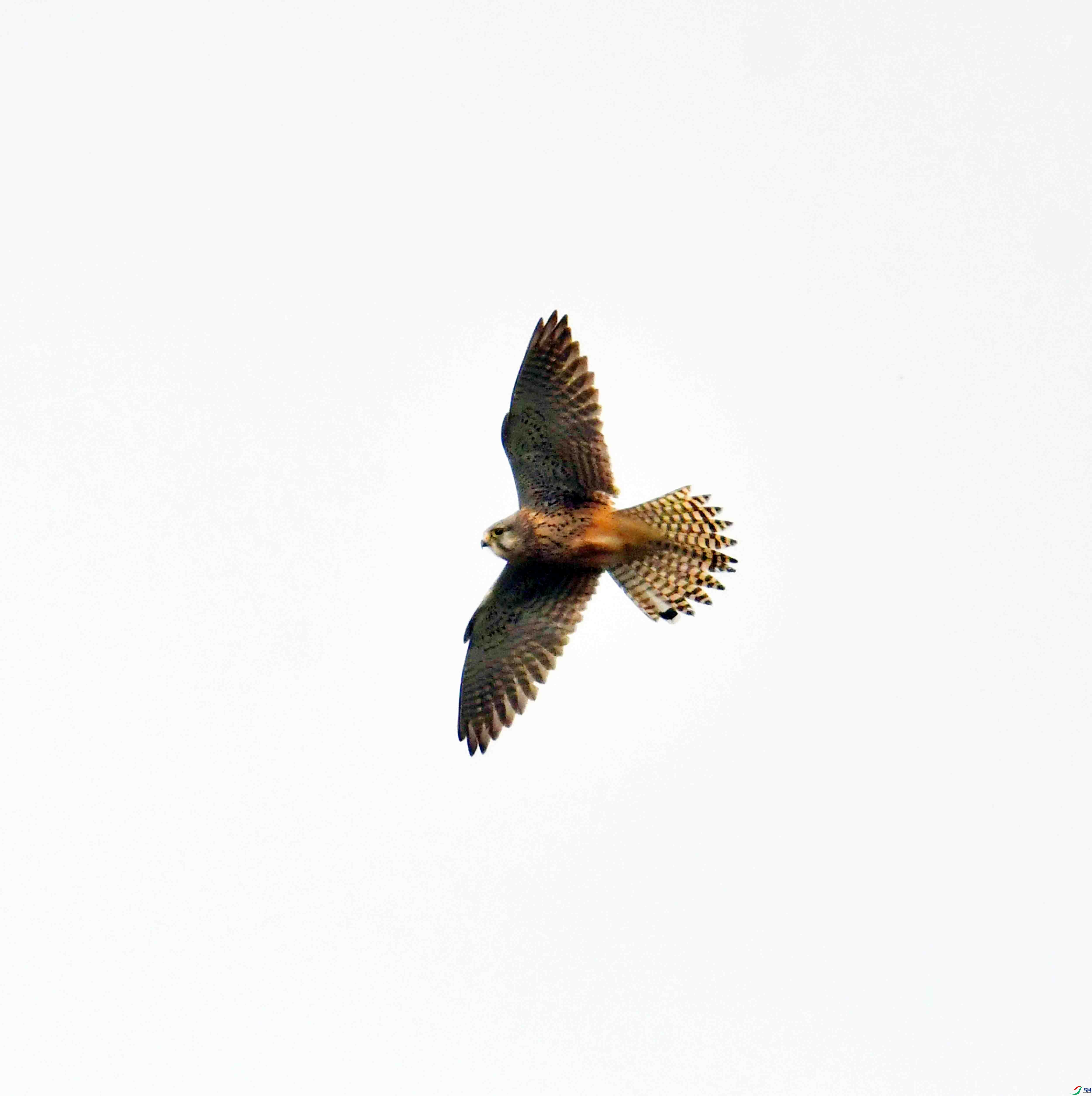 DSC_6348.JPG