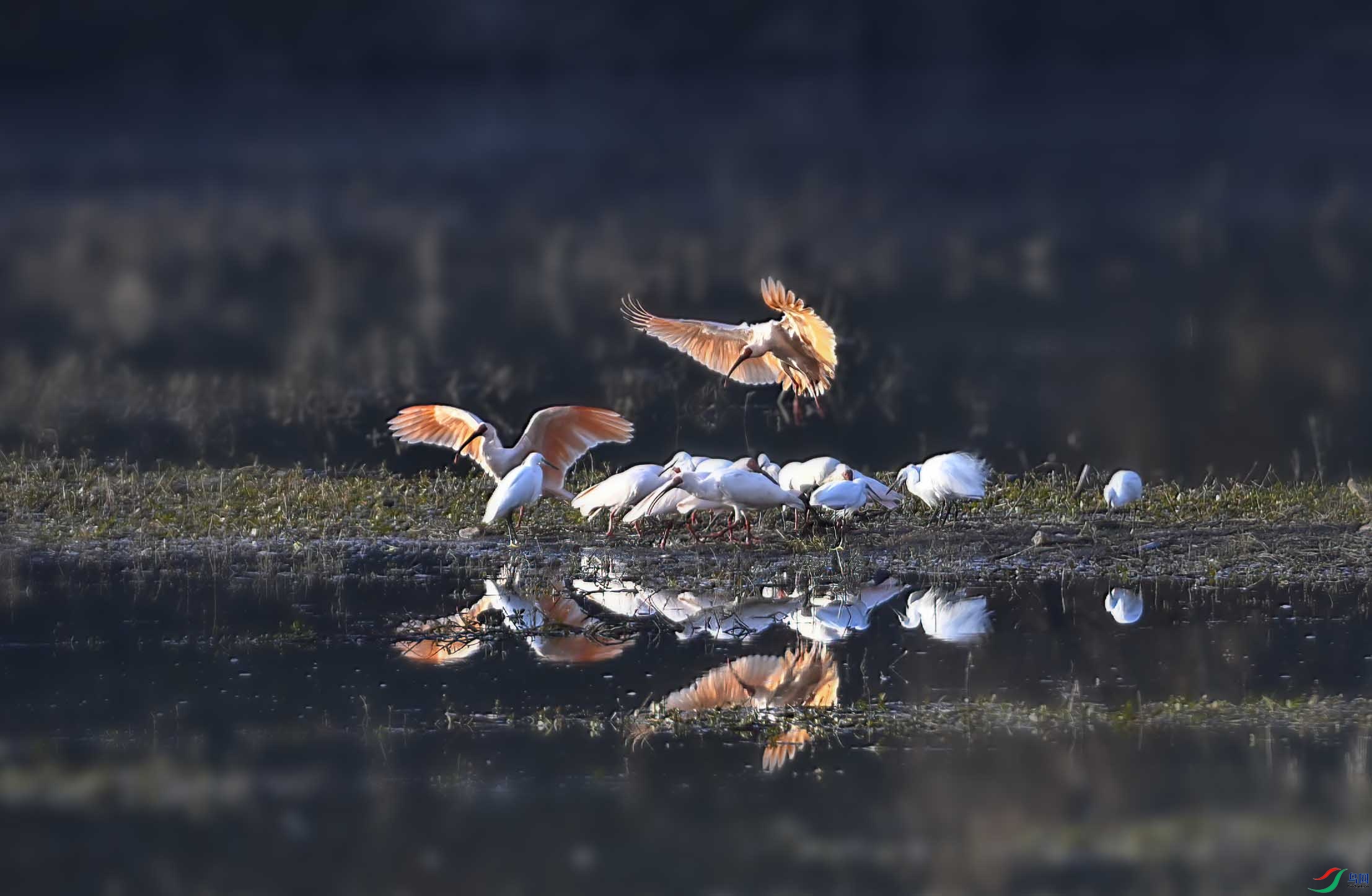 _DSC2464 ����.jpg